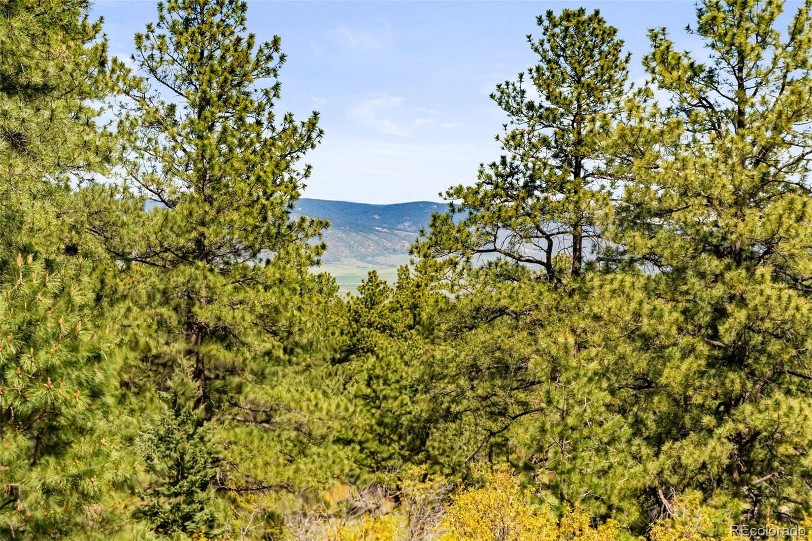 MLS Image #23 for 1988  lake drive,larkspur, Colorado