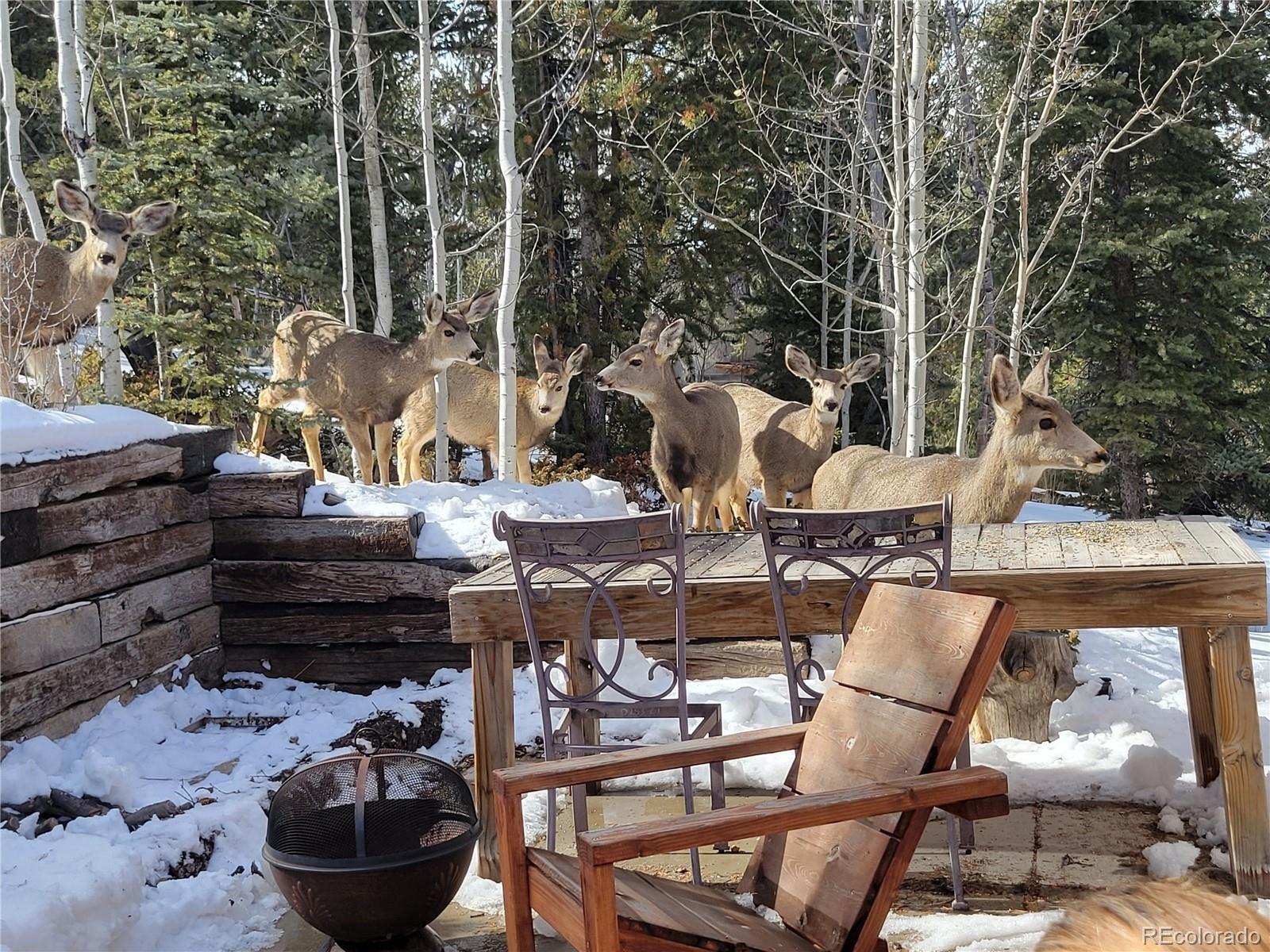 MLS Image #12 for 33  bullet way,como, Colorado