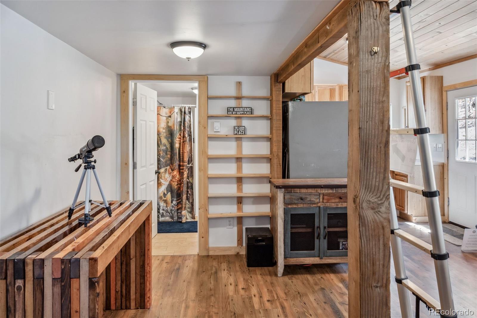 MLS Image #15 for 33  bullet way,como, Colorado