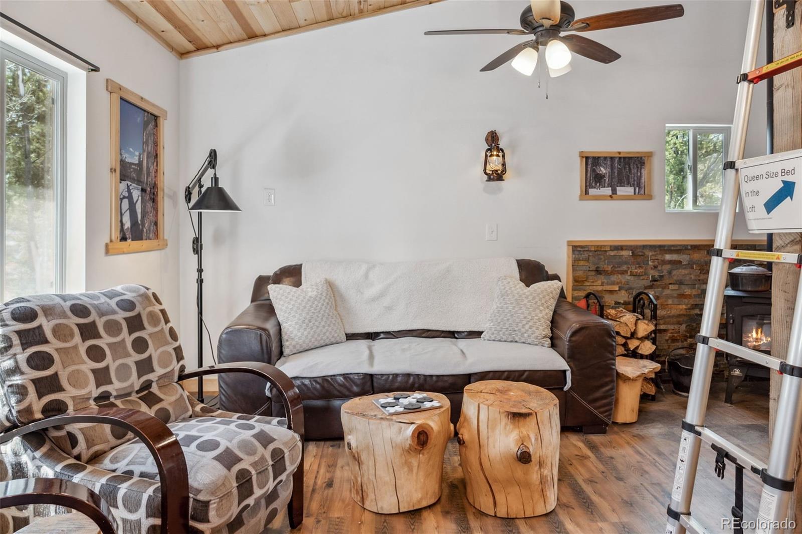 MLS Image #8 for 33  bullet way,como, Colorado