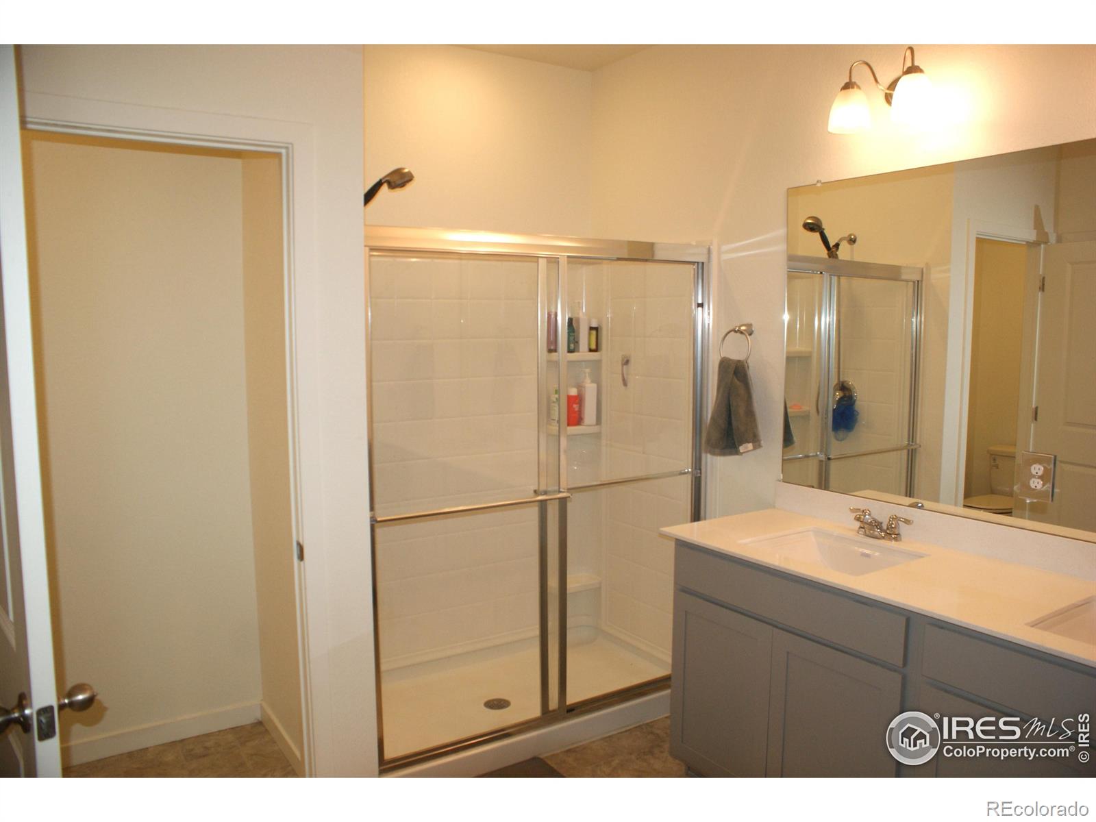 MLS Image #6 for 245  swallow road,johnstown, Colorado