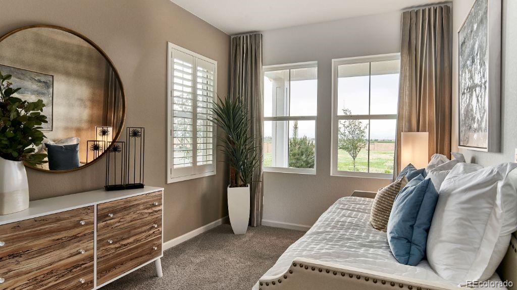 MLS Image #6 for 7243  prairie sage lane,littleton, Colorado