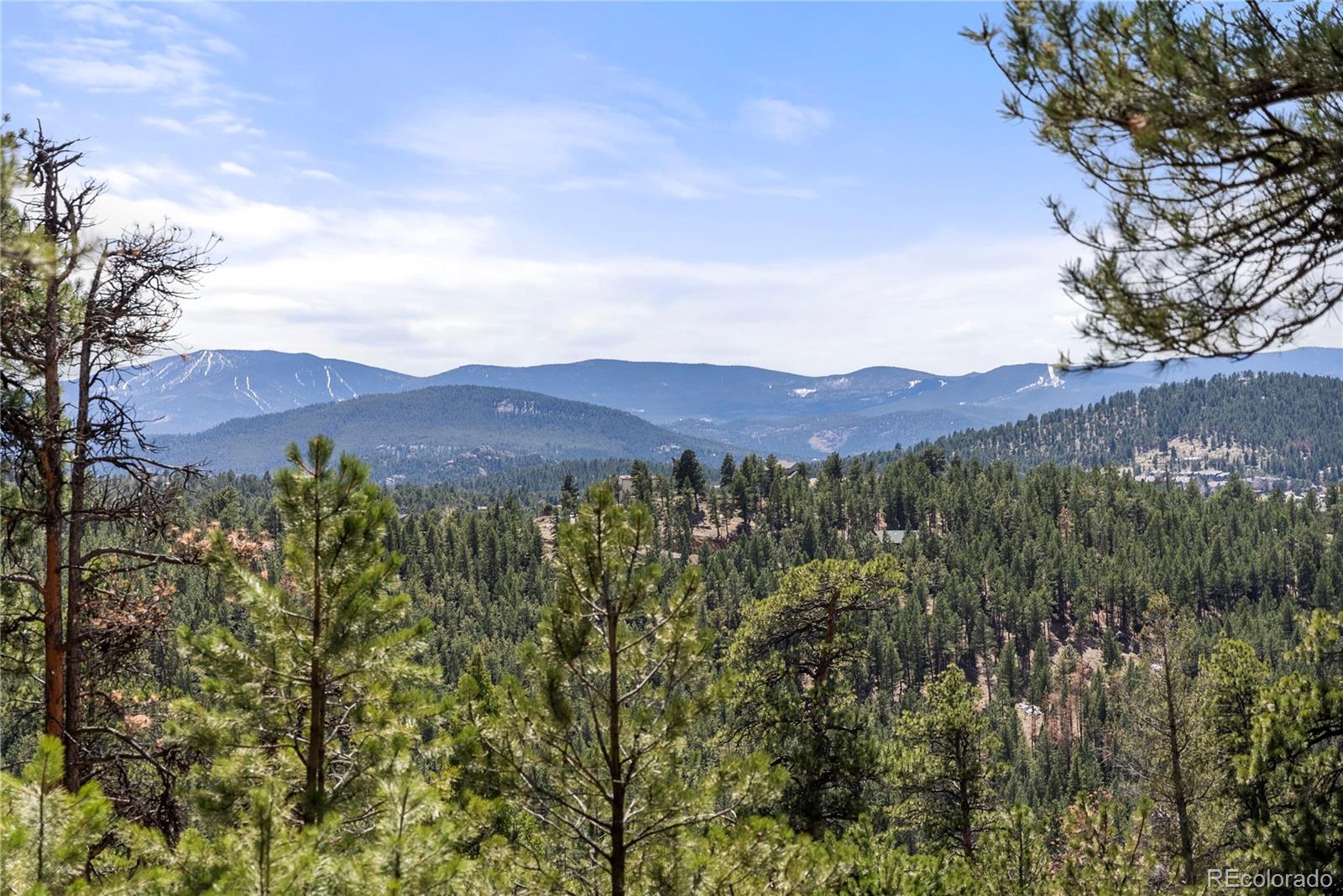 MLS Image #47 for 28890  pinewood vista drive,evergreen, Colorado
