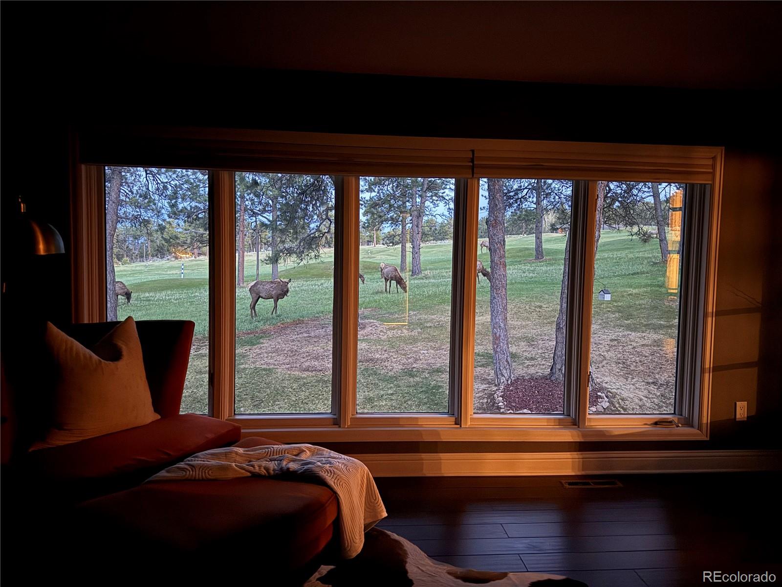 MLS Image #27 for 2434  hearth drive,evergreen, Colorado