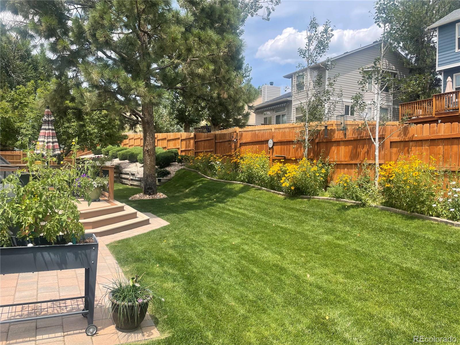 MLS Image #3 for 3960  barrelwood court,colorado springs, Colorado