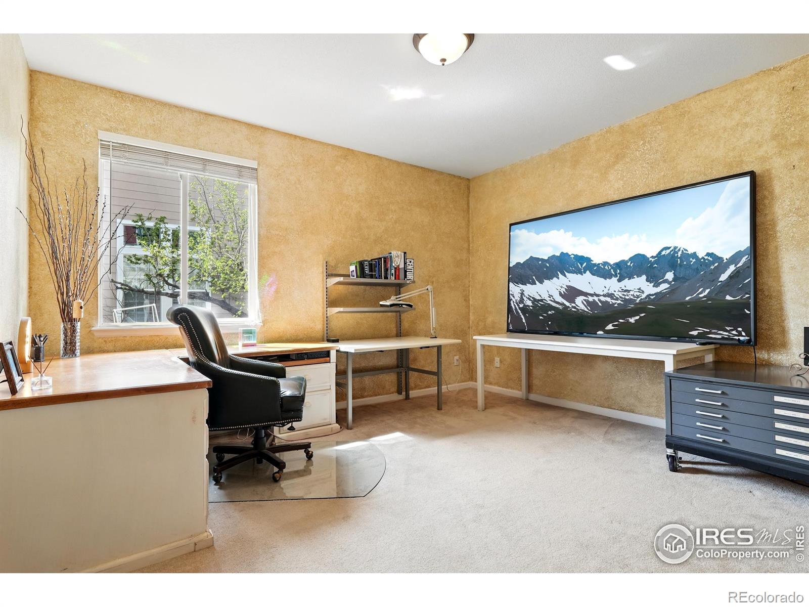 MLS Image #20 for 665  glenarbor circle,longmont, Colorado