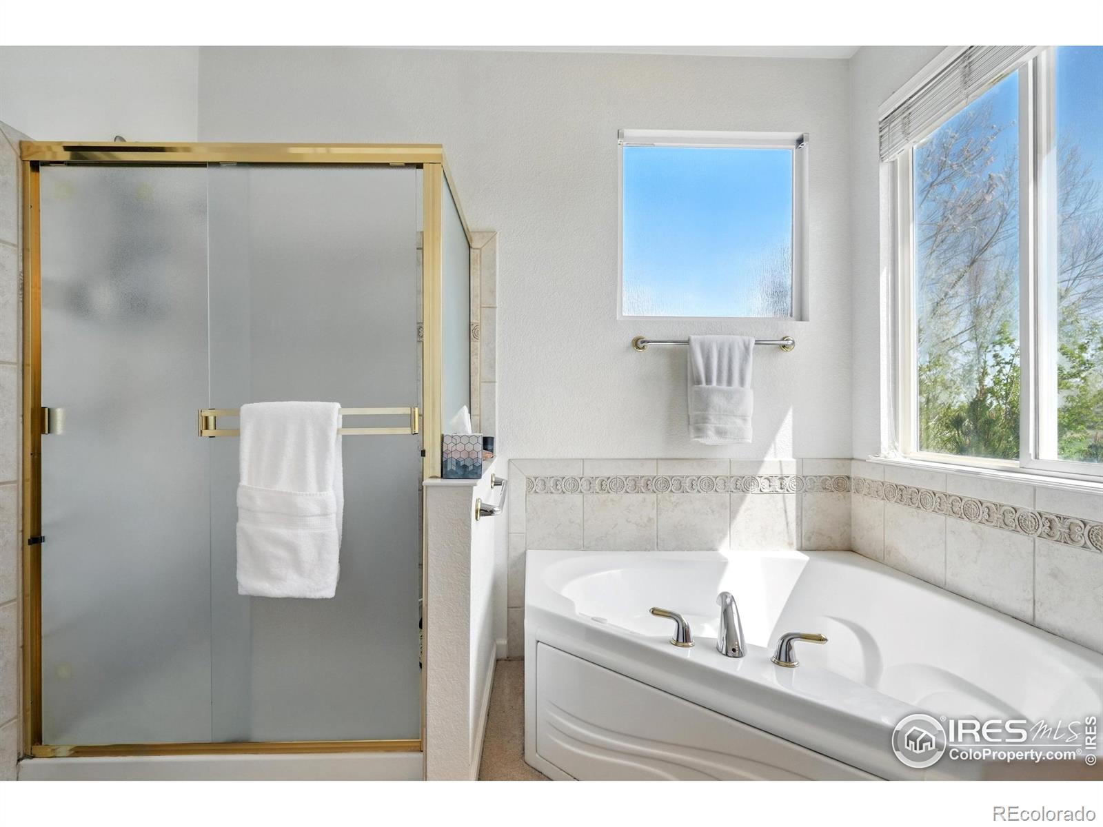 MLS Image #26 for 665  glenarbor circle,longmont, Colorado