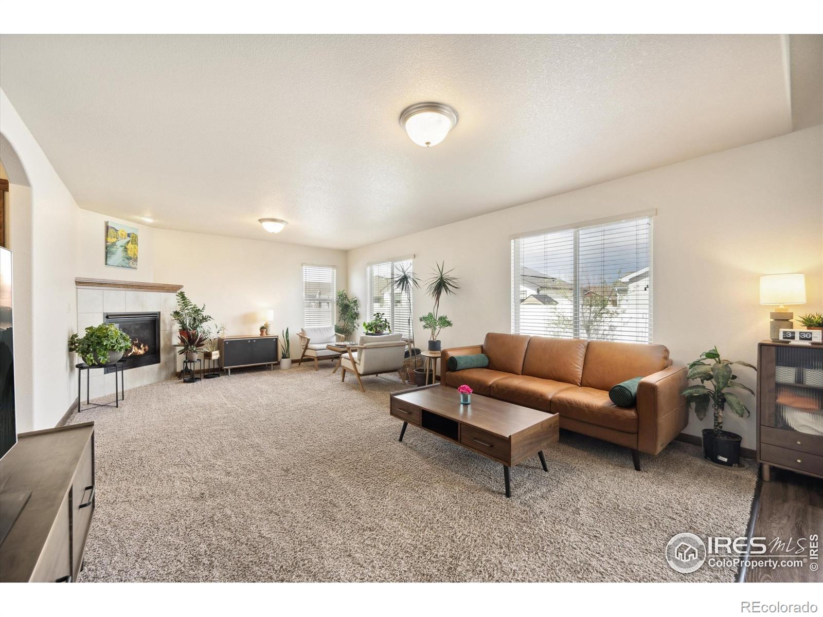 MLS Image #5 for 7000  meade street,wellington, Colorado