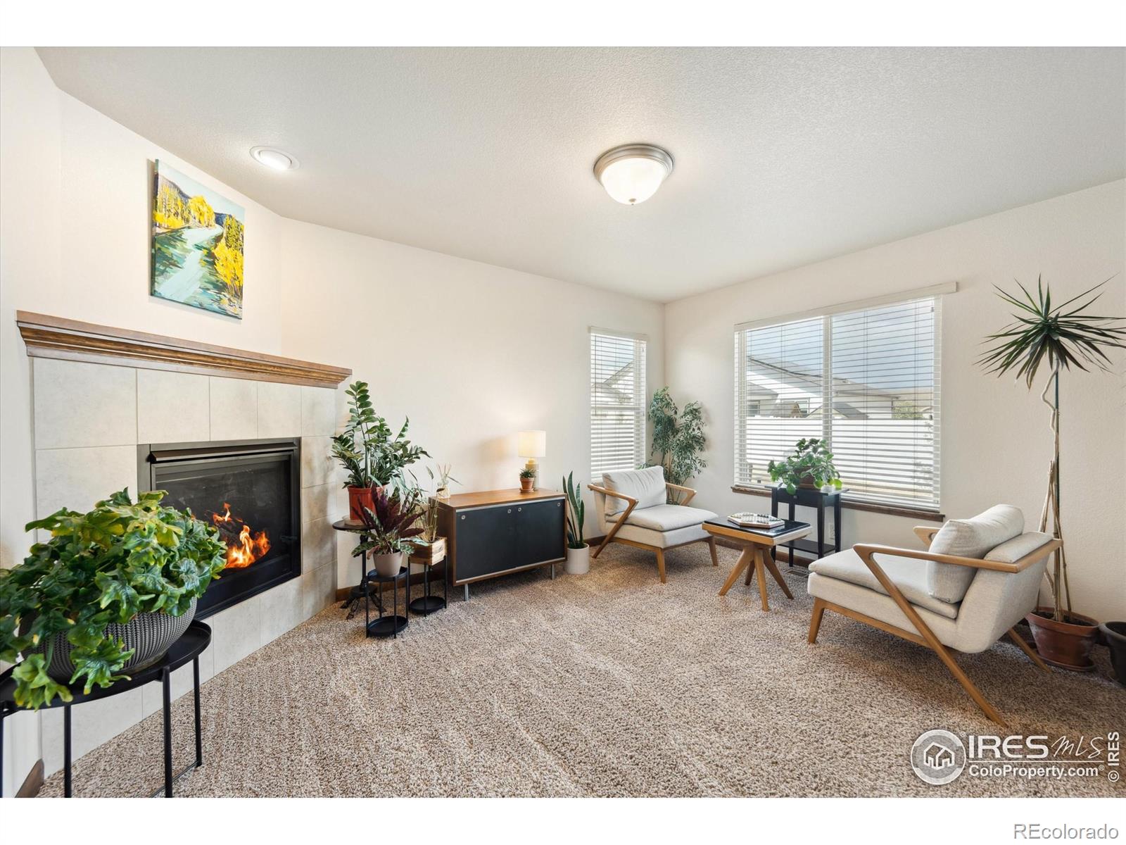 MLS Image #6 for 7000  meade street,wellington, Colorado