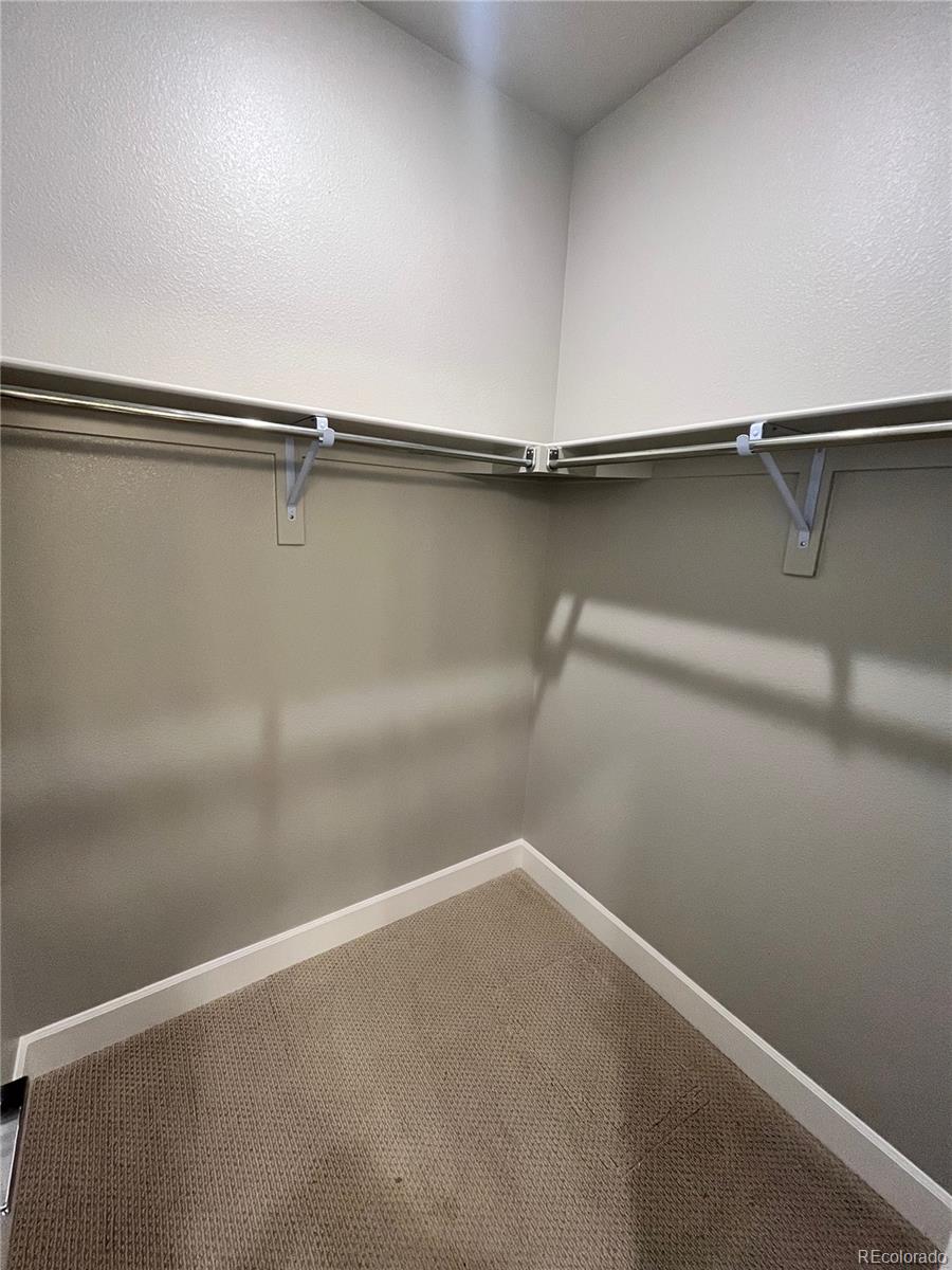 MLS Image #19 for 16841  askins loop,parker, Colorado