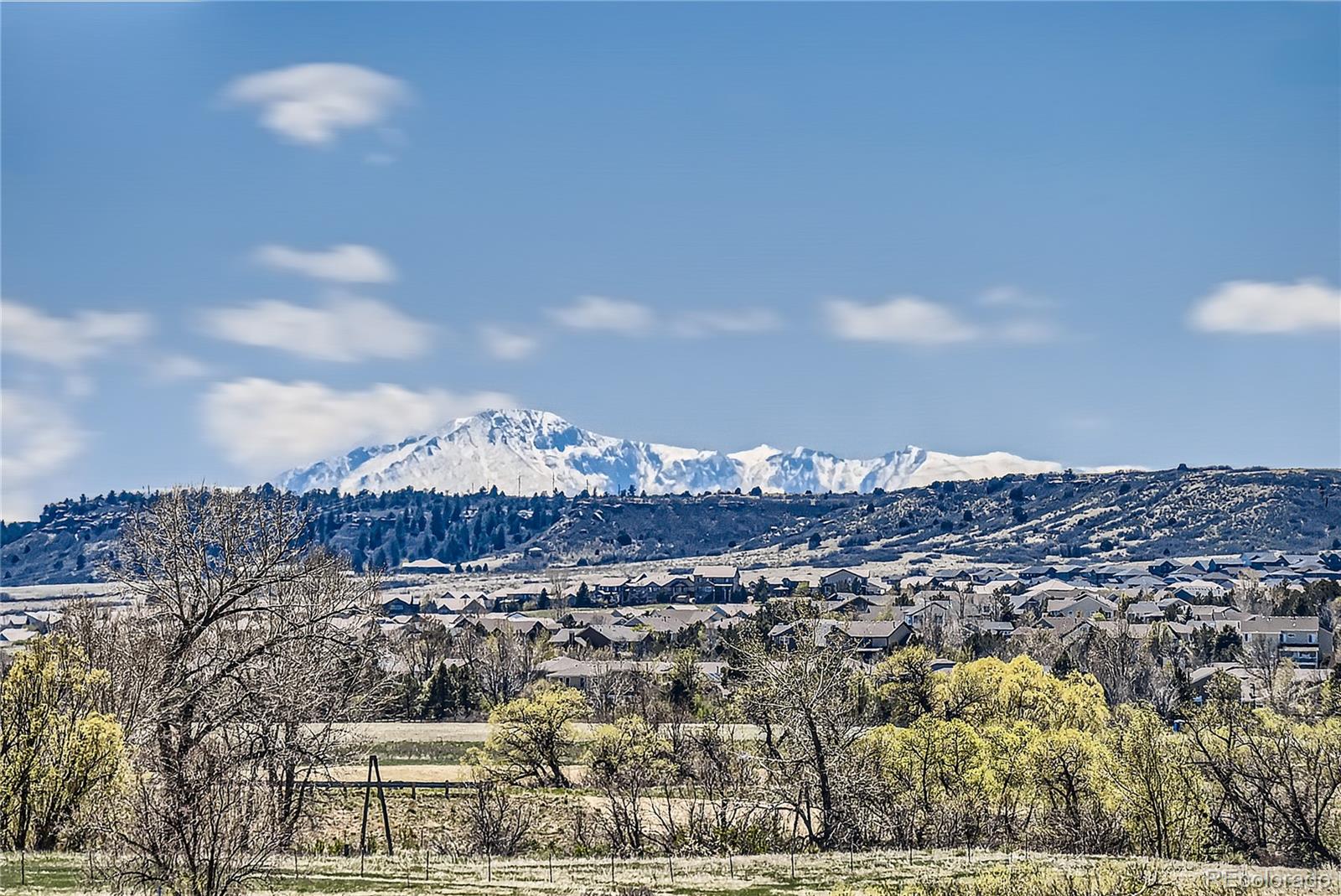 MLS Image #9 for 6614  club villa road,parker, Colorado