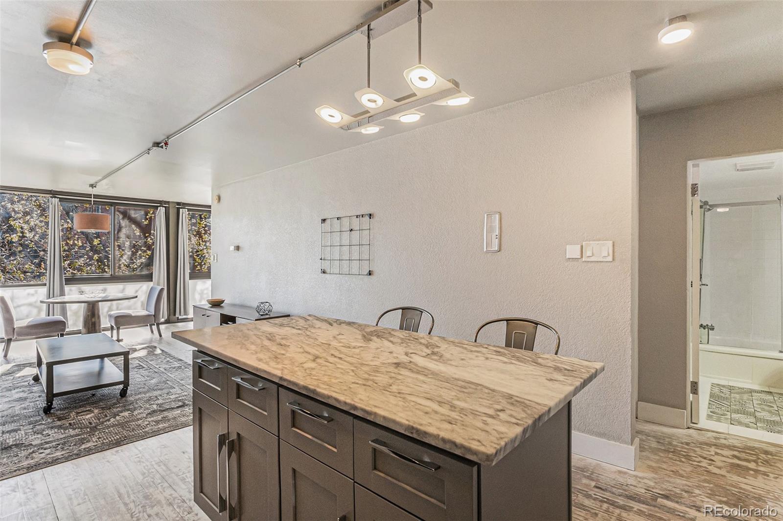 MLS Image #2 for 1050 n corona street,denver, Colorado