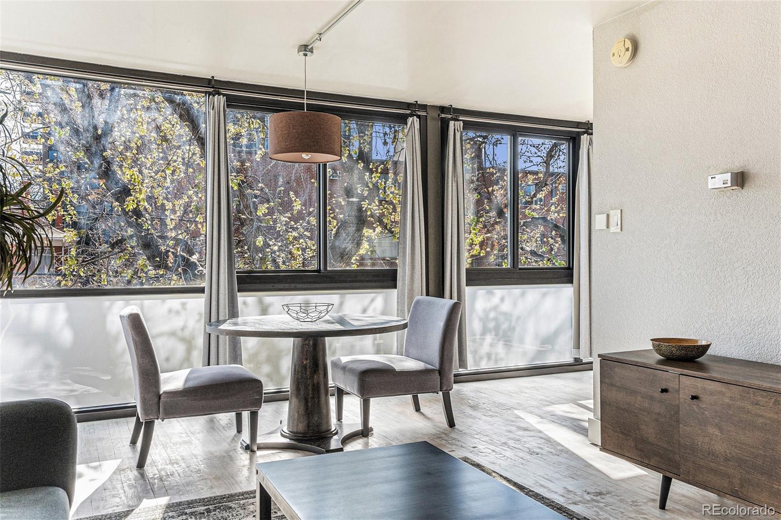 MLS Image #5 for 1050 n corona street,denver, Colorado