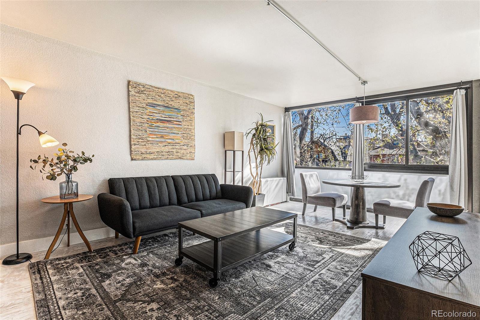 MLS Image #7 for 1050 n corona street,denver, Colorado