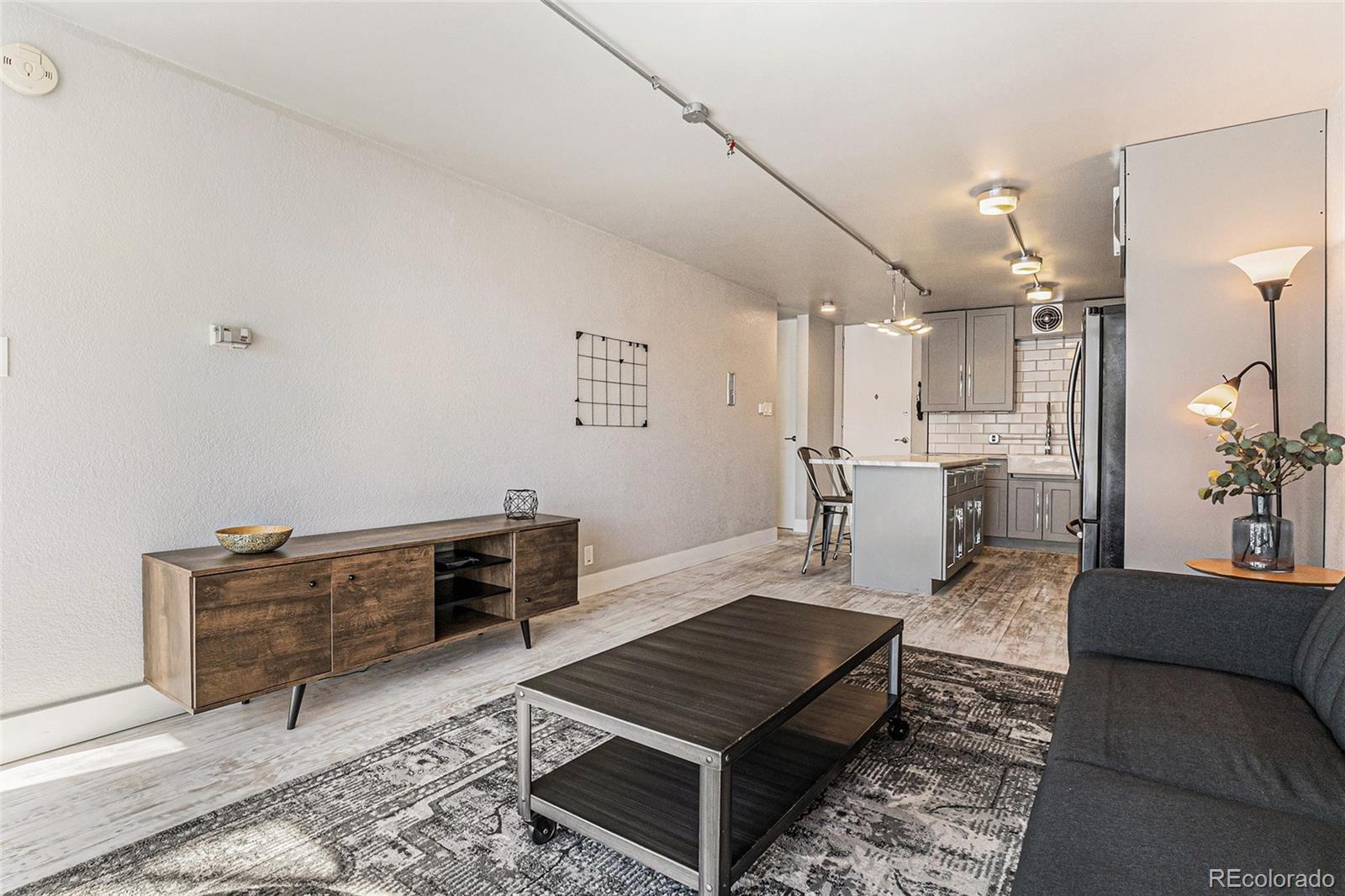 MLS Image #9 for 1050 n corona street,denver, Colorado