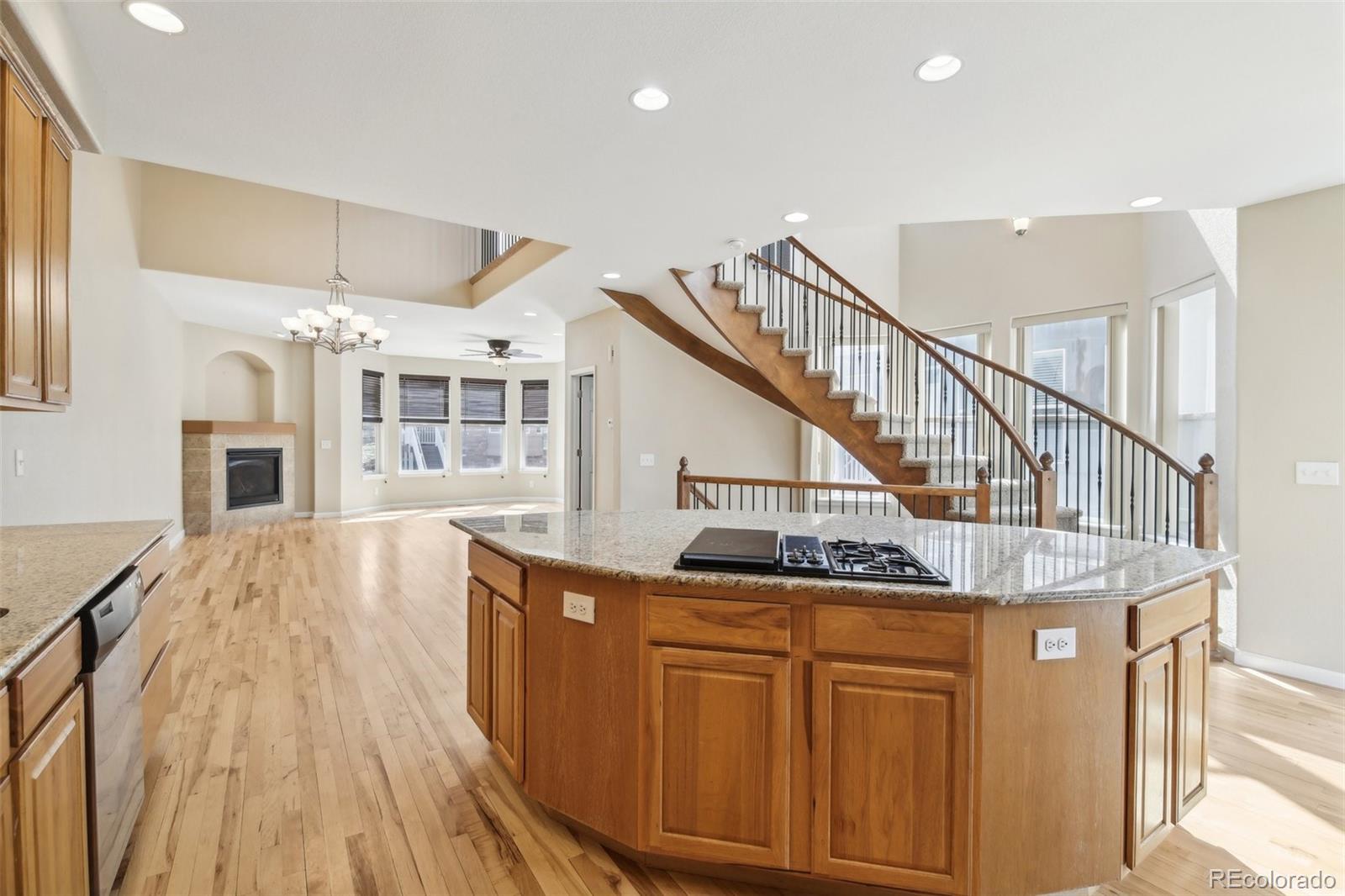 MLS Image #9 for 836  vernon drive,central city, Colorado
