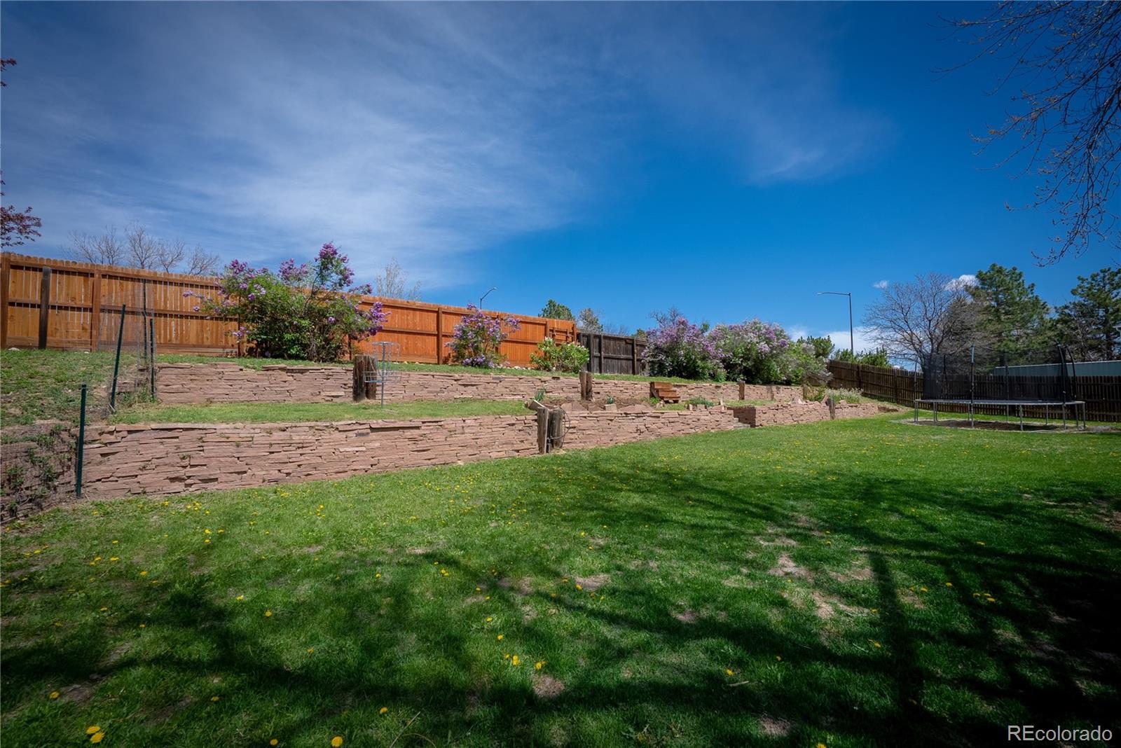 MLS Image #33 for 1562  madison court,louisville, Colorado
