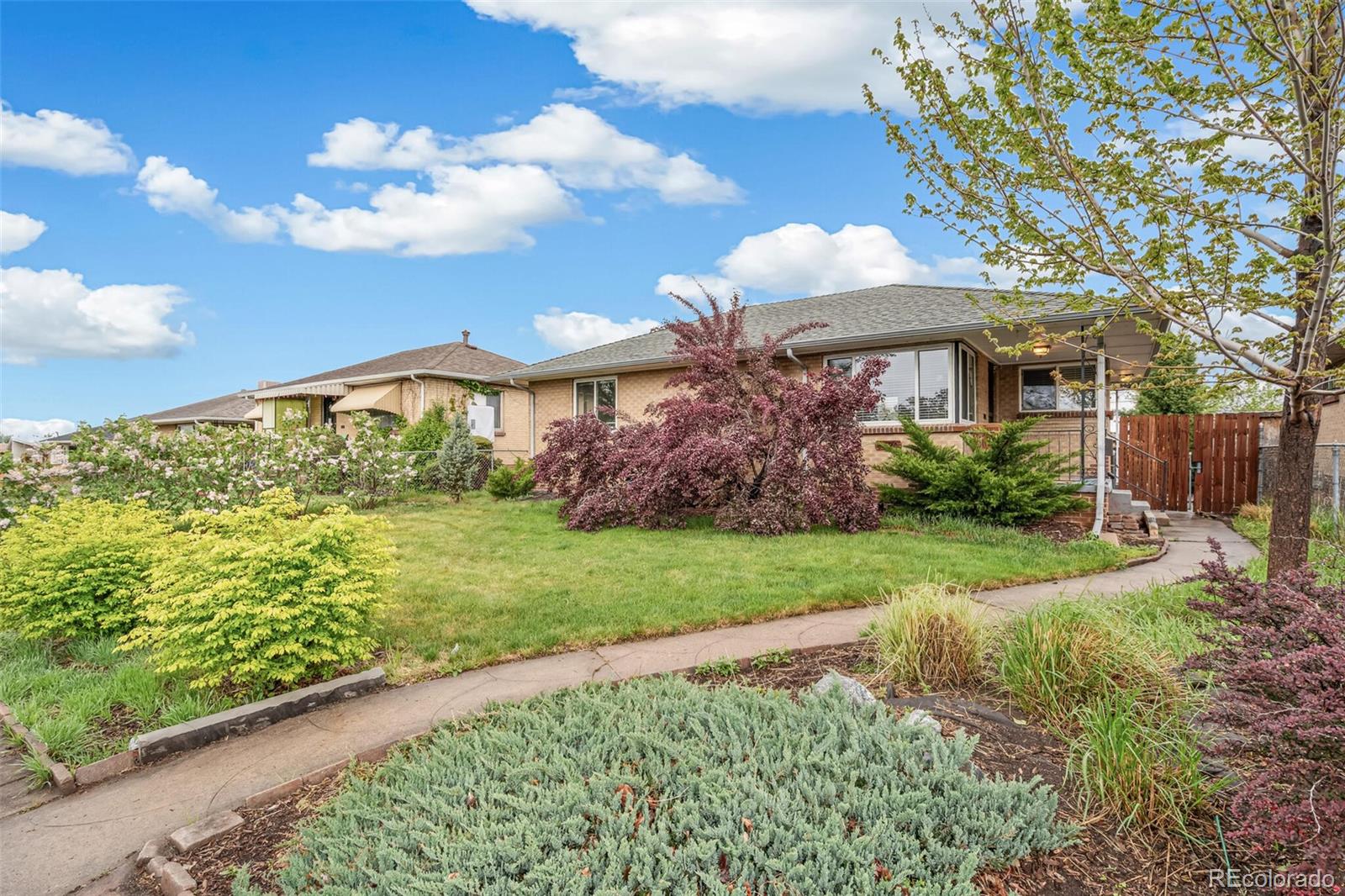 MLS Image #3 for 3620  fairfax street,denver, Colorado