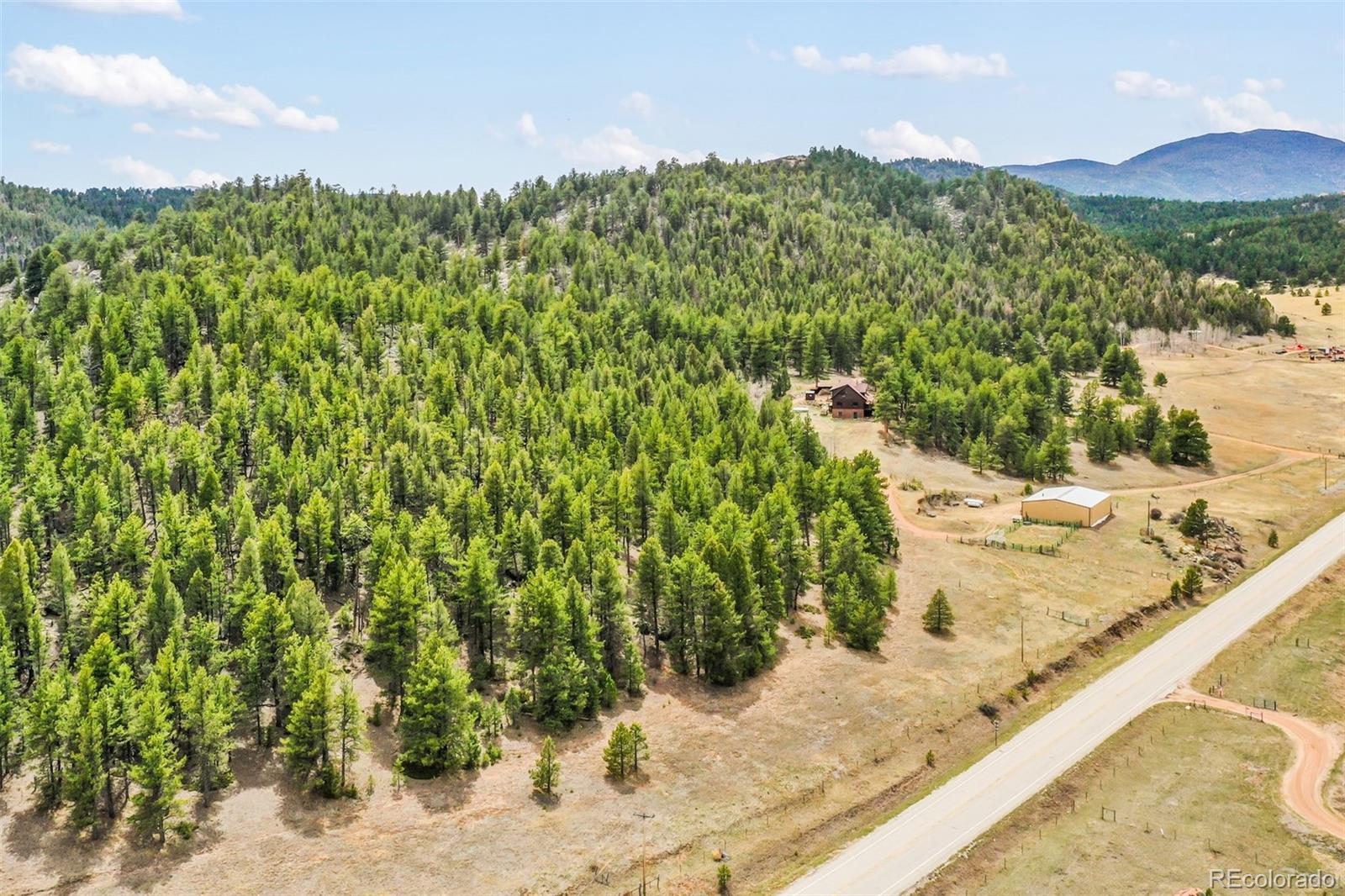 MLS Image #44 for 35098  us highway 24 ,lake george, Colorado