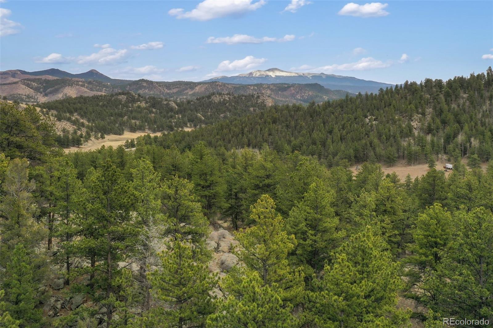 MLS Image #46 for 35098  us highway 24 ,lake george, Colorado