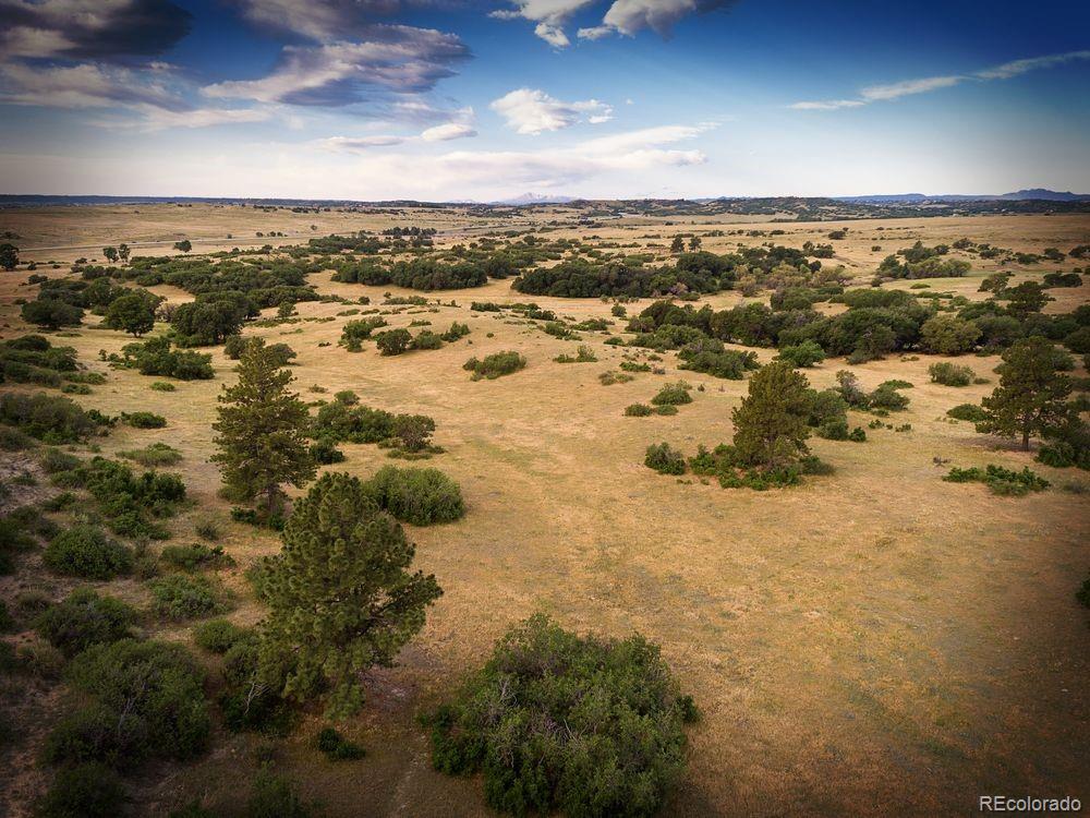 MLS Image #20 for 13358  blue amber court,parker, Colorado