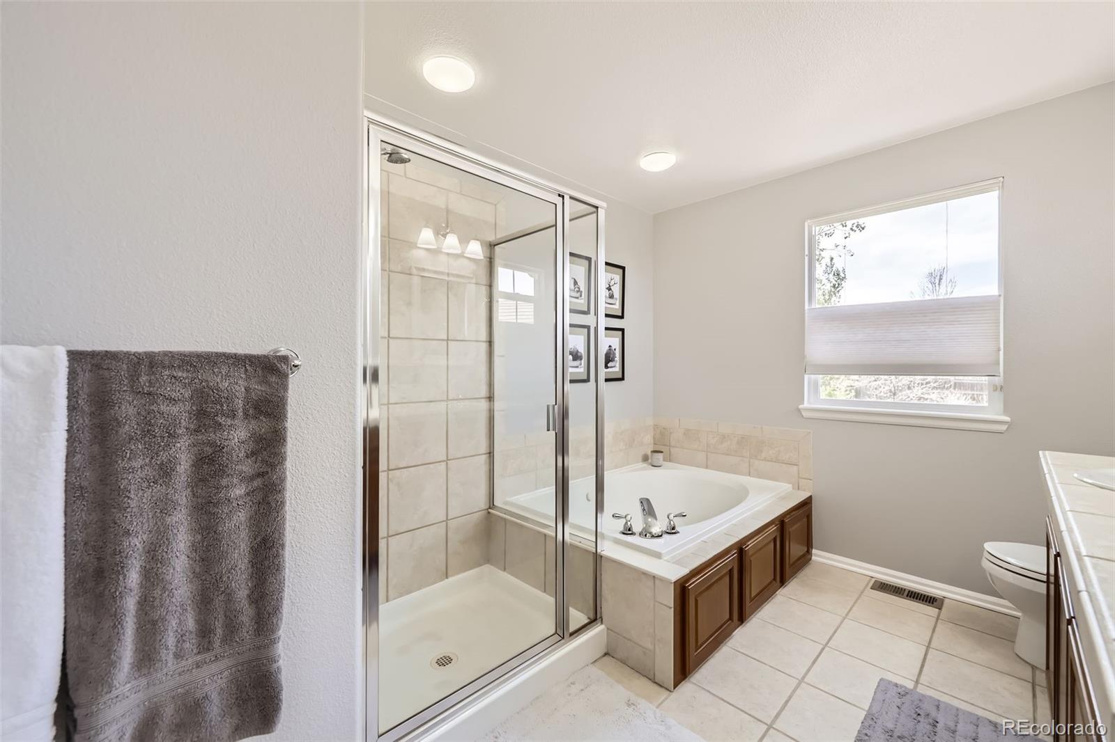 MLS Image #14 for 3744  gypsum court,superior, Colorado