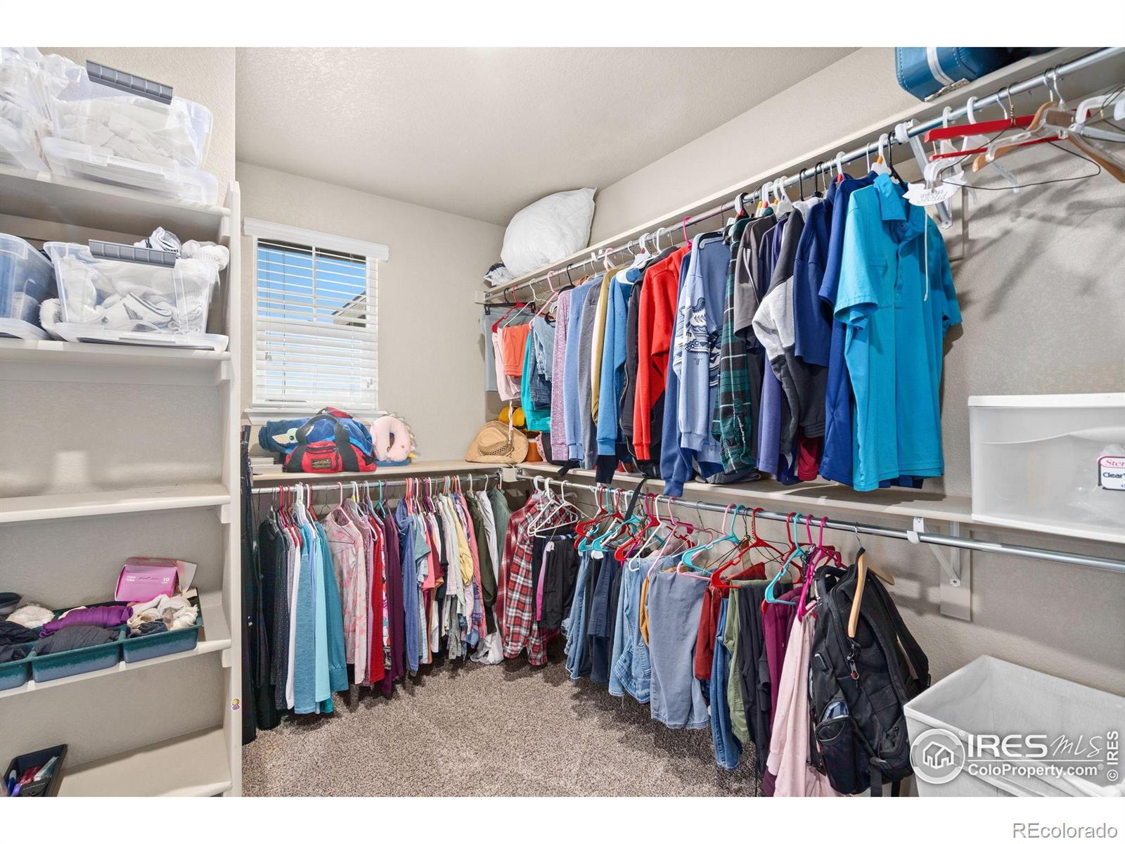 MLS Image #19 for 2277  stonefish drive,windsor, Colorado