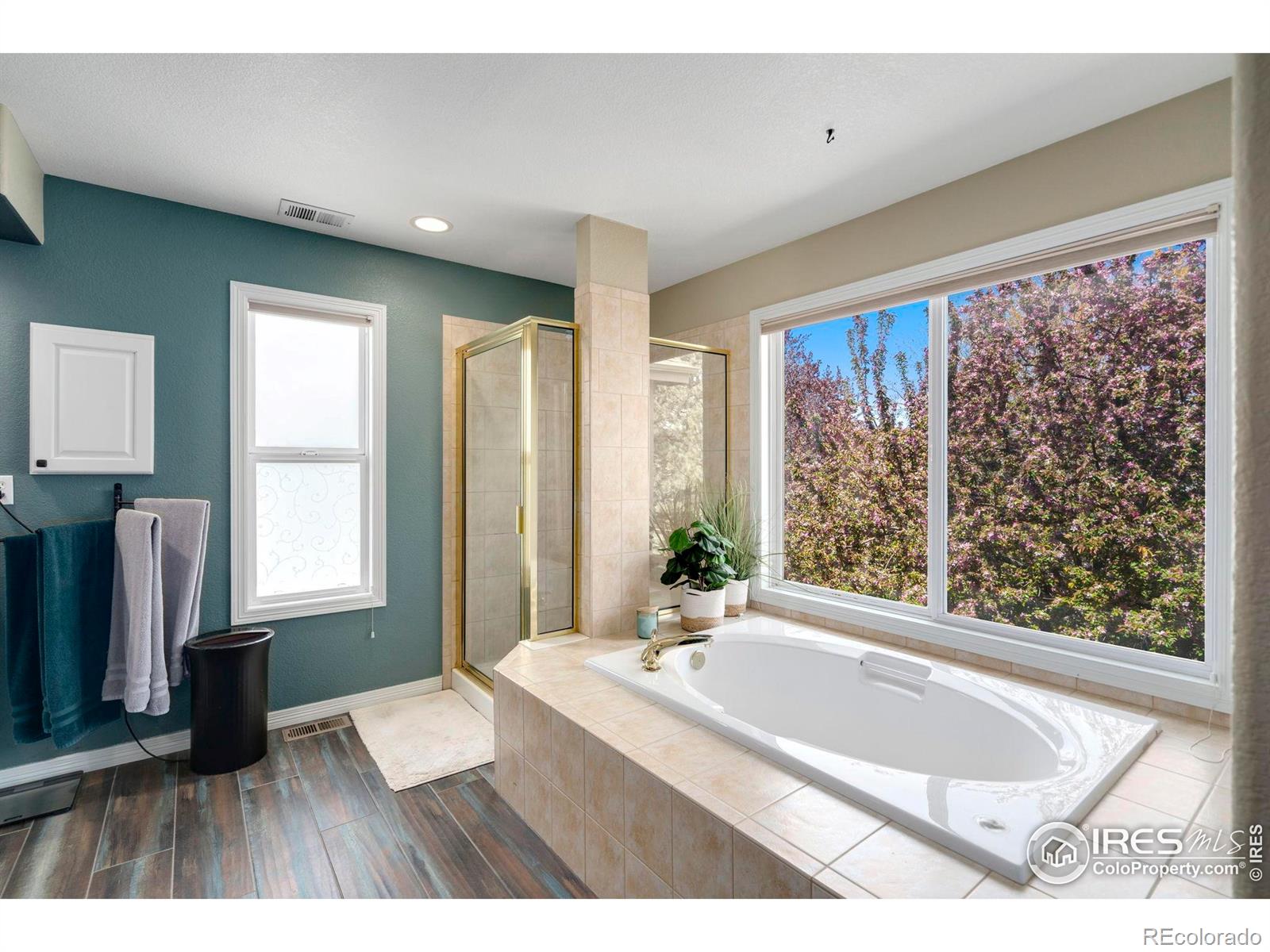 MLS Image #22 for 5442  tiller court,windsor, Colorado
