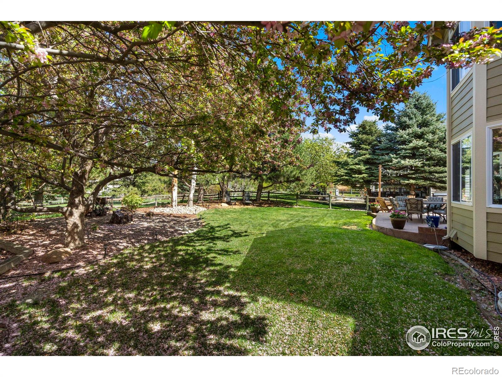 MLS Image #33 for 5442  tiller court,windsor, Colorado