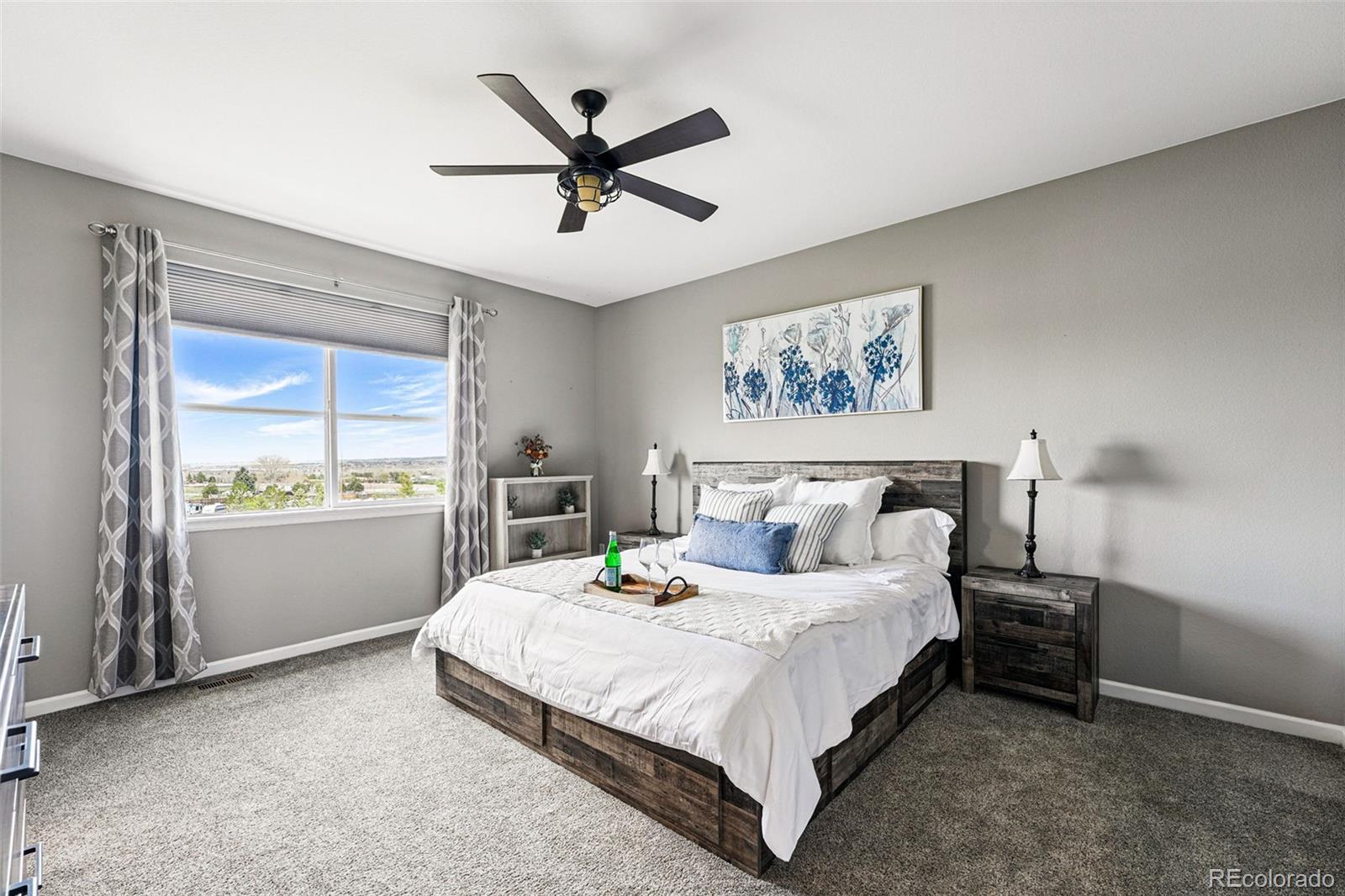 MLS Image #11 for 18083  telford avenue,parker, Colorado