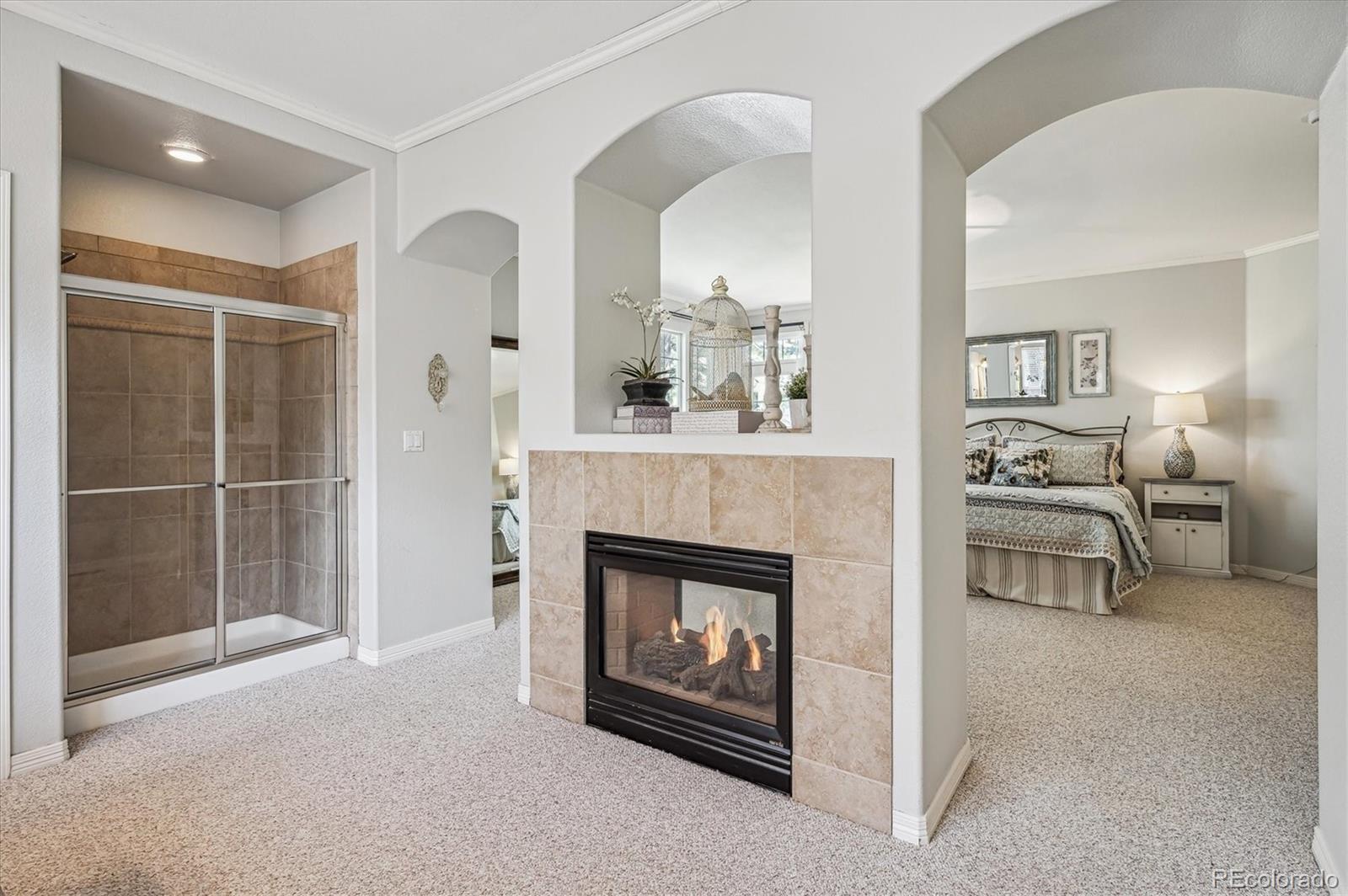 MLS Image #21 for 4185  cheyenne drive,larkspur, Colorado