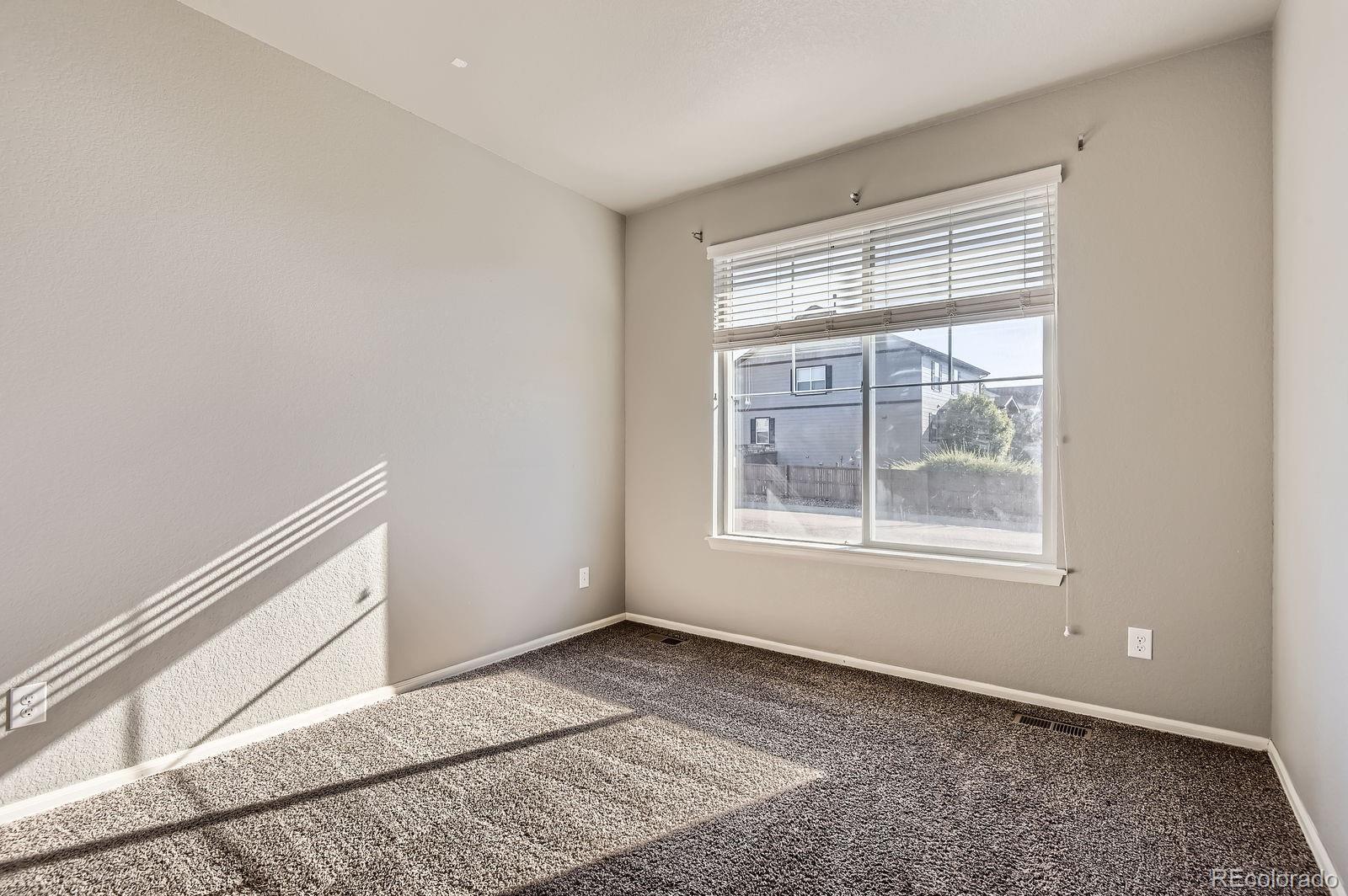 MLS Image #14 for 4406  sidewinder loop,castle rock, Colorado