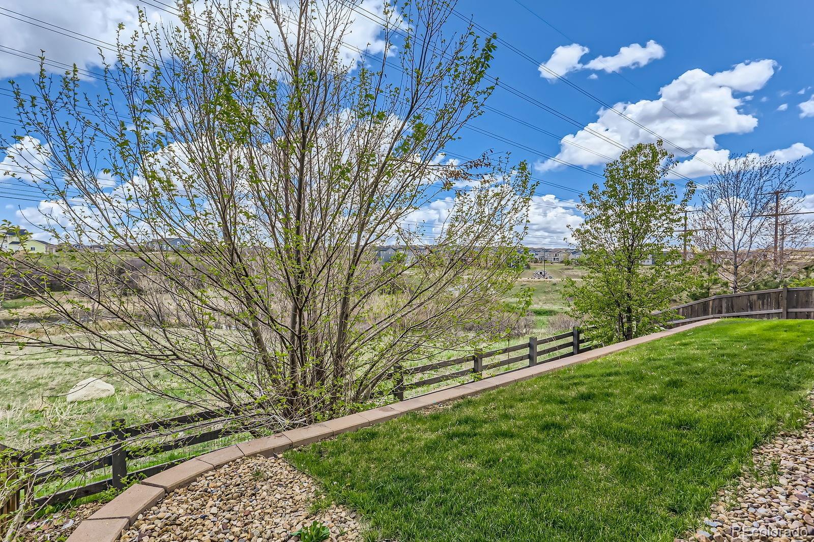 MLS Image #33 for 4406  sidewinder loop,castle rock, Colorado