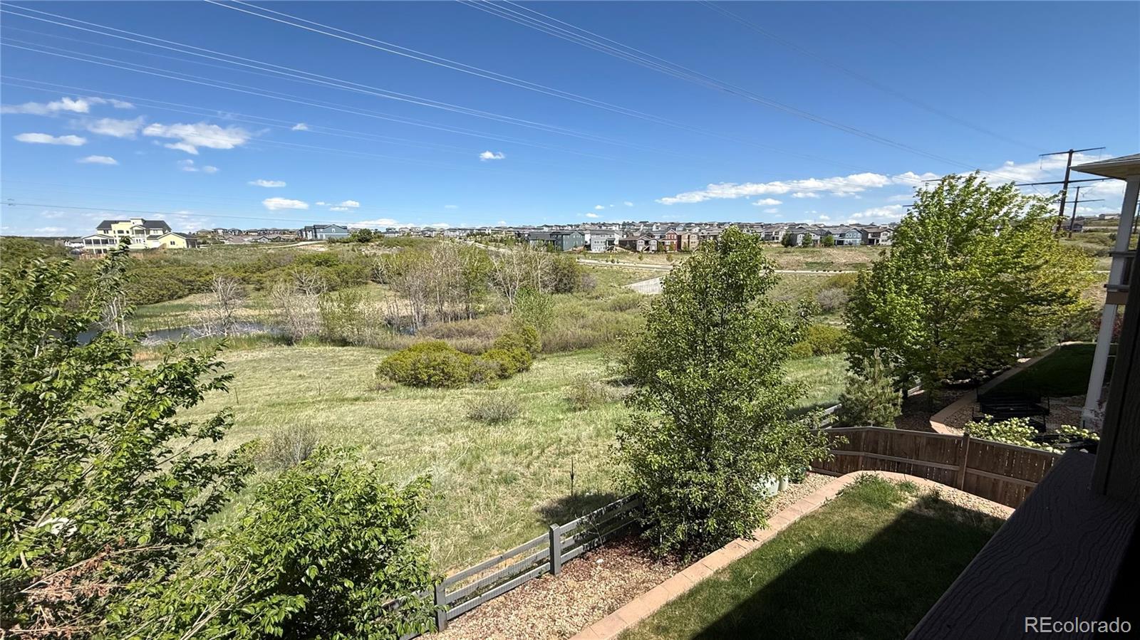 MLS Image #8 for 4406  sidewinder loop,castle rock, Colorado