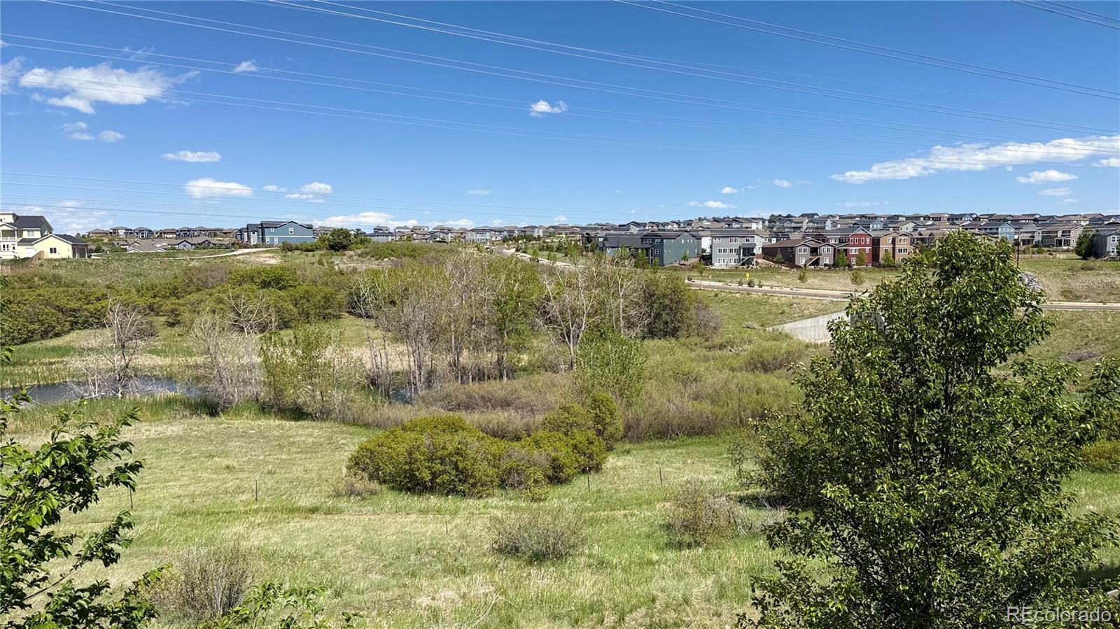MLS Image #9 for 4406  sidewinder loop,castle rock, Colorado