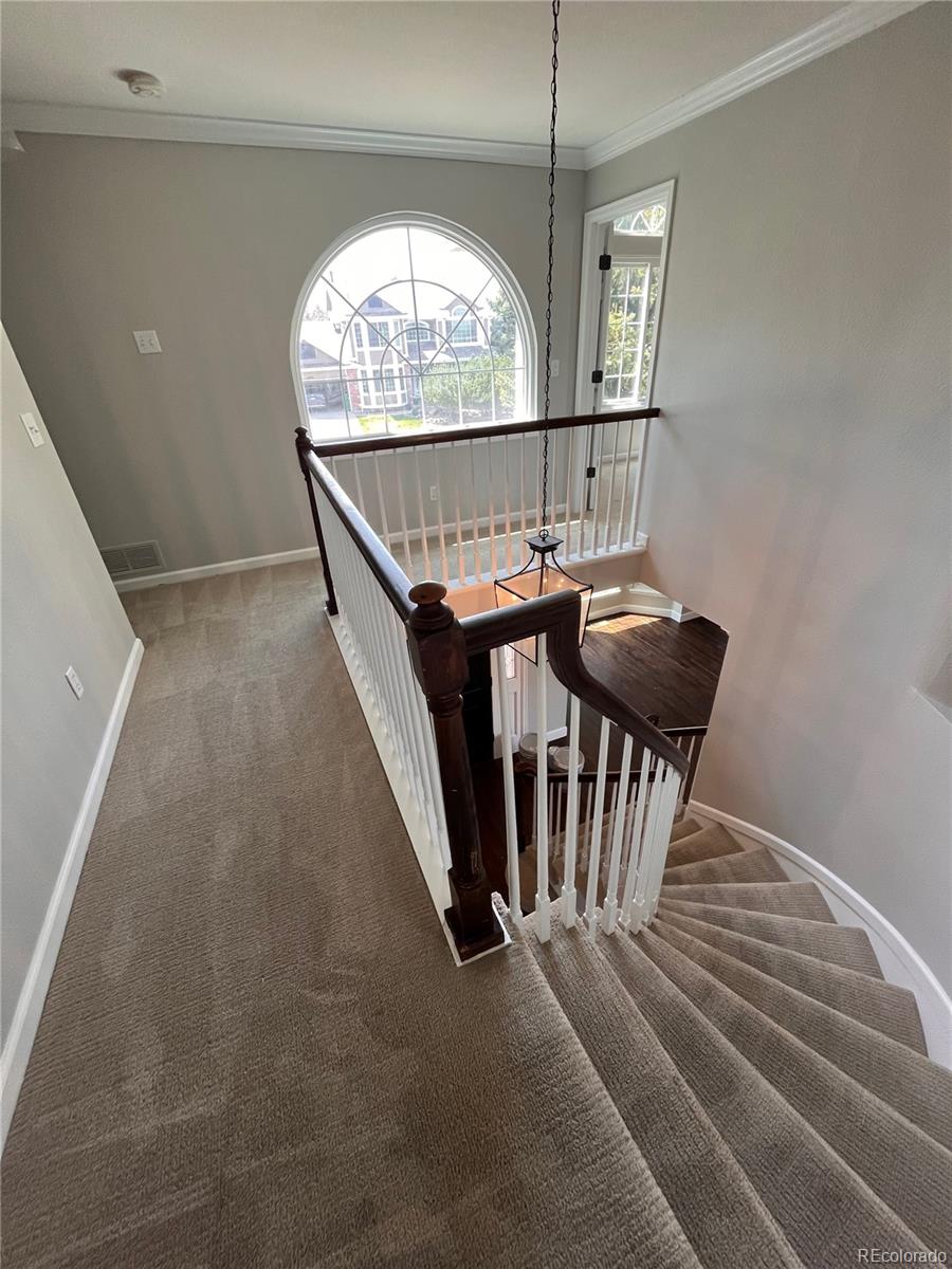 MLS Image #23 for 11506  greenbriar lane,parker, Colorado