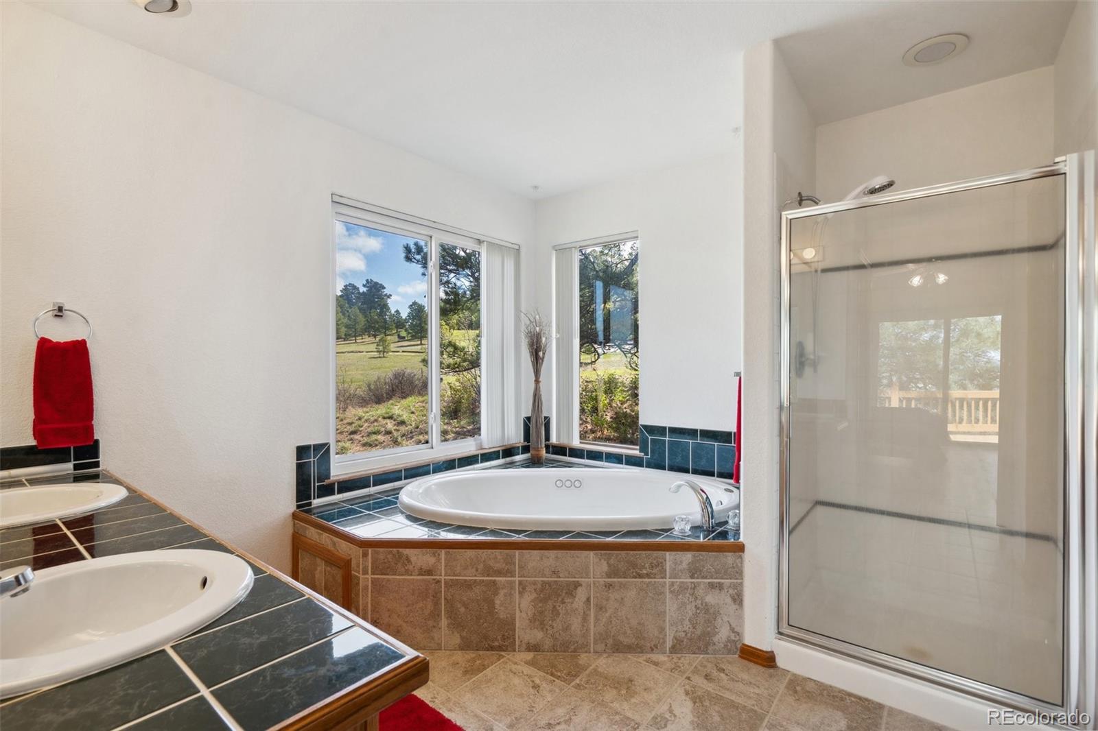 MLS Image #33 for 21670  warriors path drive,peyton, Colorado