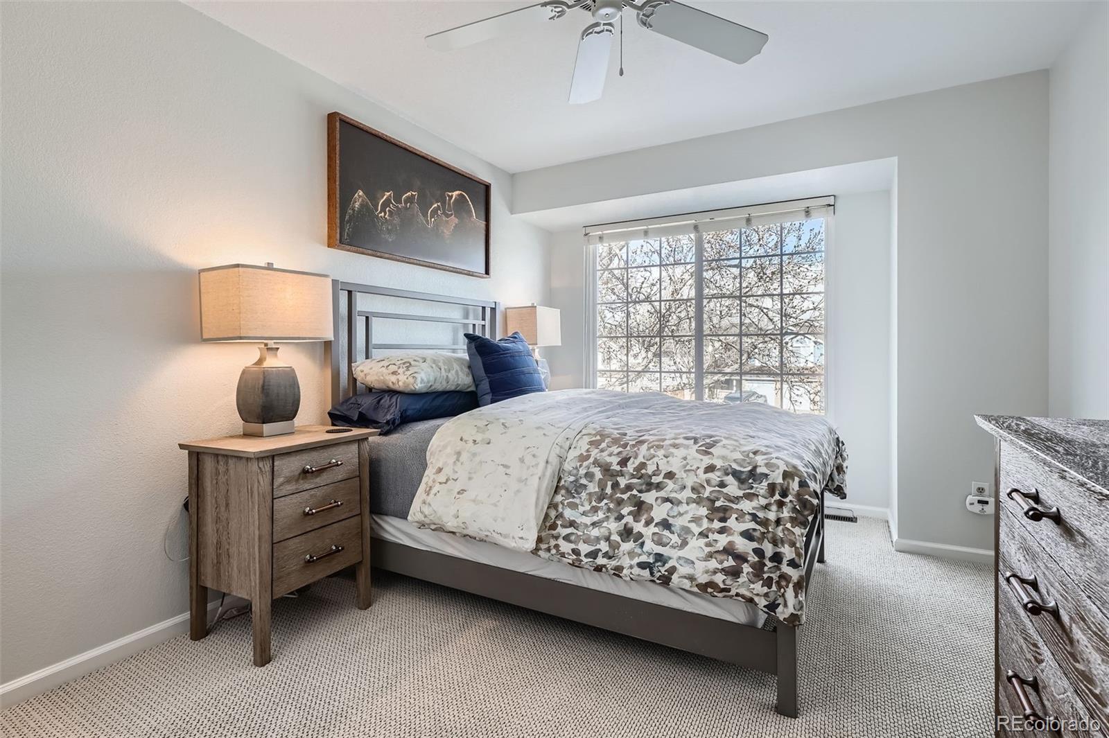 MLS Image #19 for 9523  sherrelwood lane,highlands ranch, Colorado