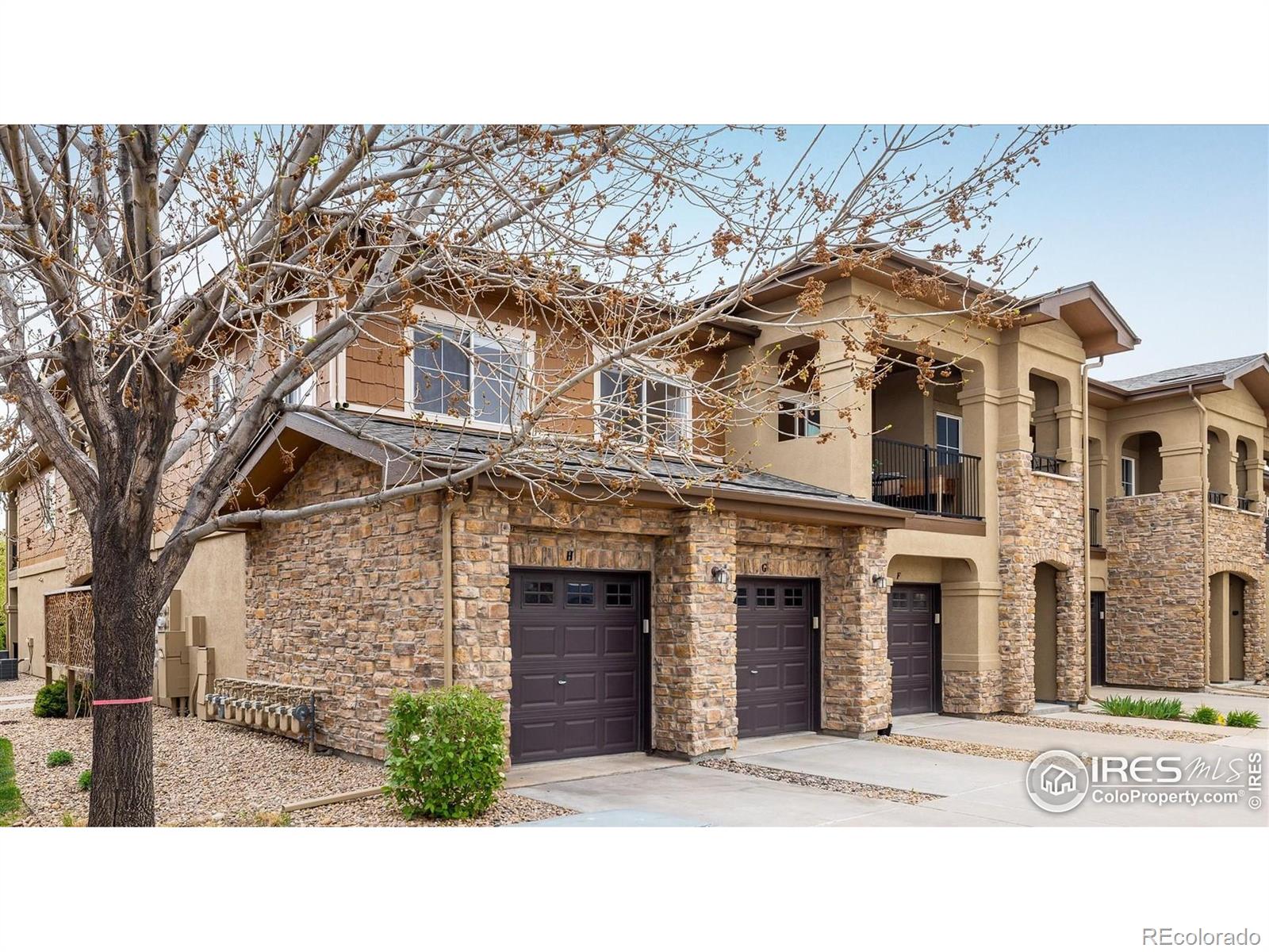 MLS Image #16 for 1122  olympia avenue,longmont, Colorado