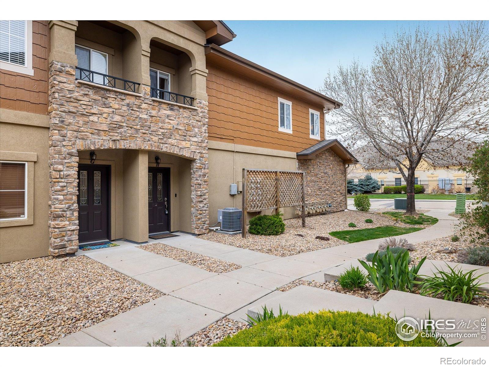 MLS Image #17 for 1122  olympia avenue,longmont, Colorado