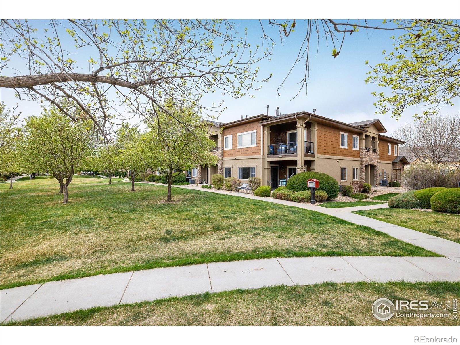 MLS Image #18 for 1122  olympia avenue,longmont, Colorado