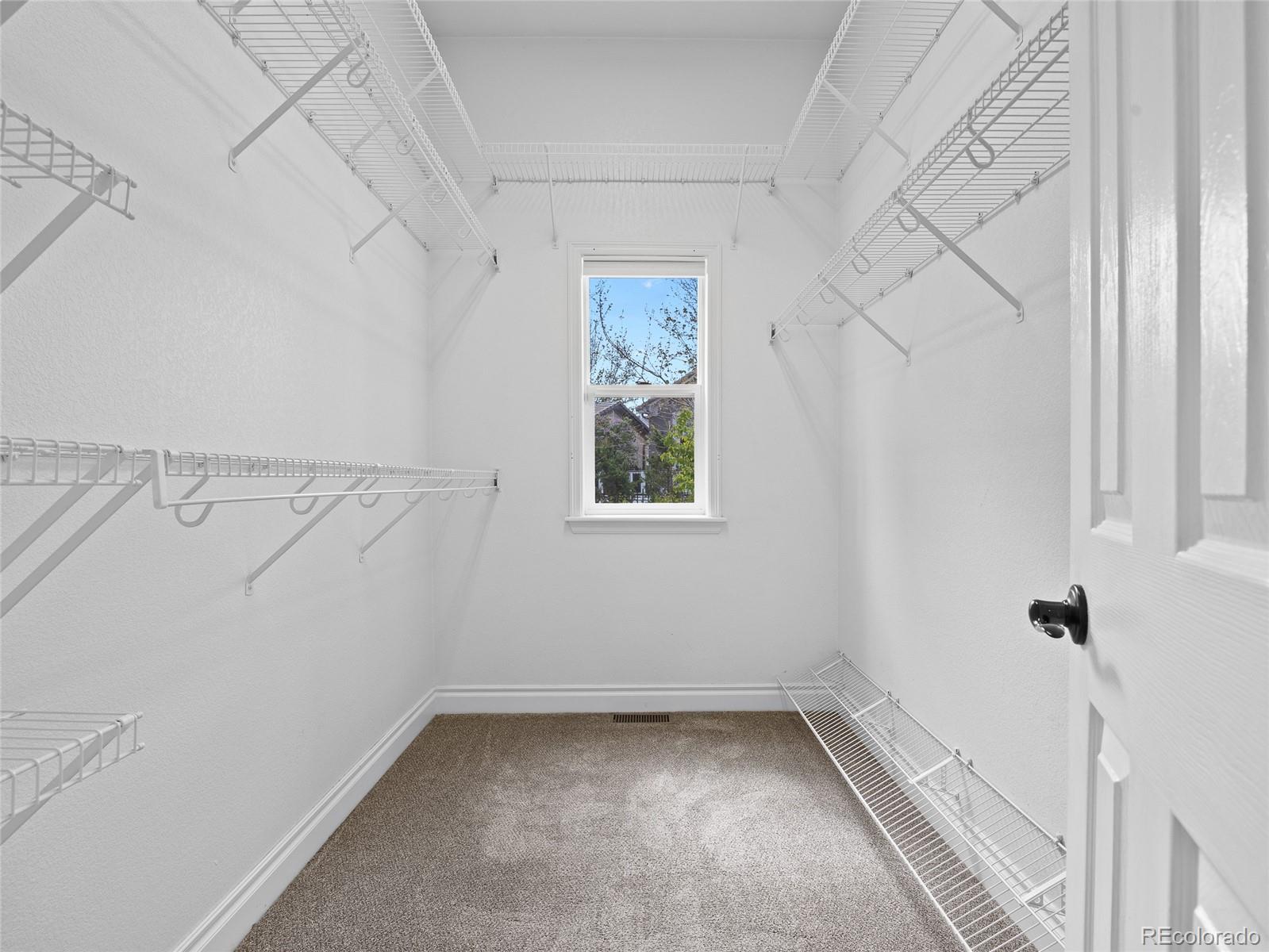 MLS Image #21 for 9734  tall grass circle,lone tree, Colorado