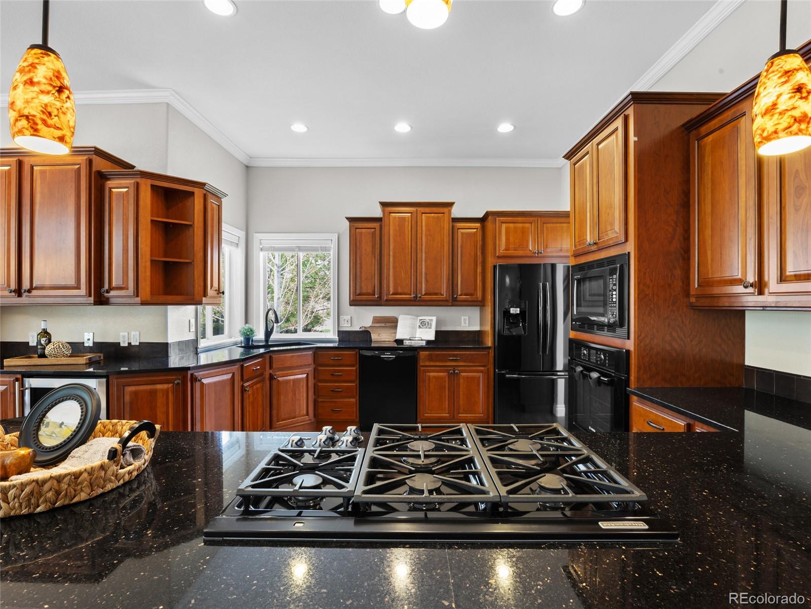 MLS Image #7 for 9734  tall grass circle,lone tree, Colorado