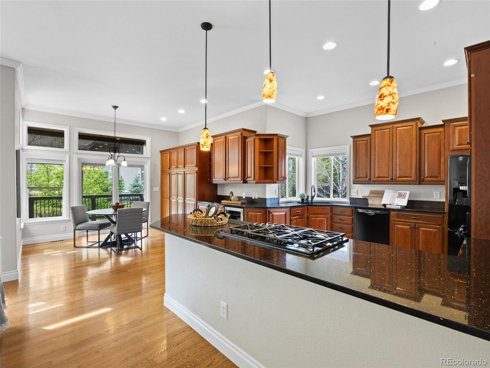 MLS Image #8 for 9734  tall grass circle,lone tree, Colorado