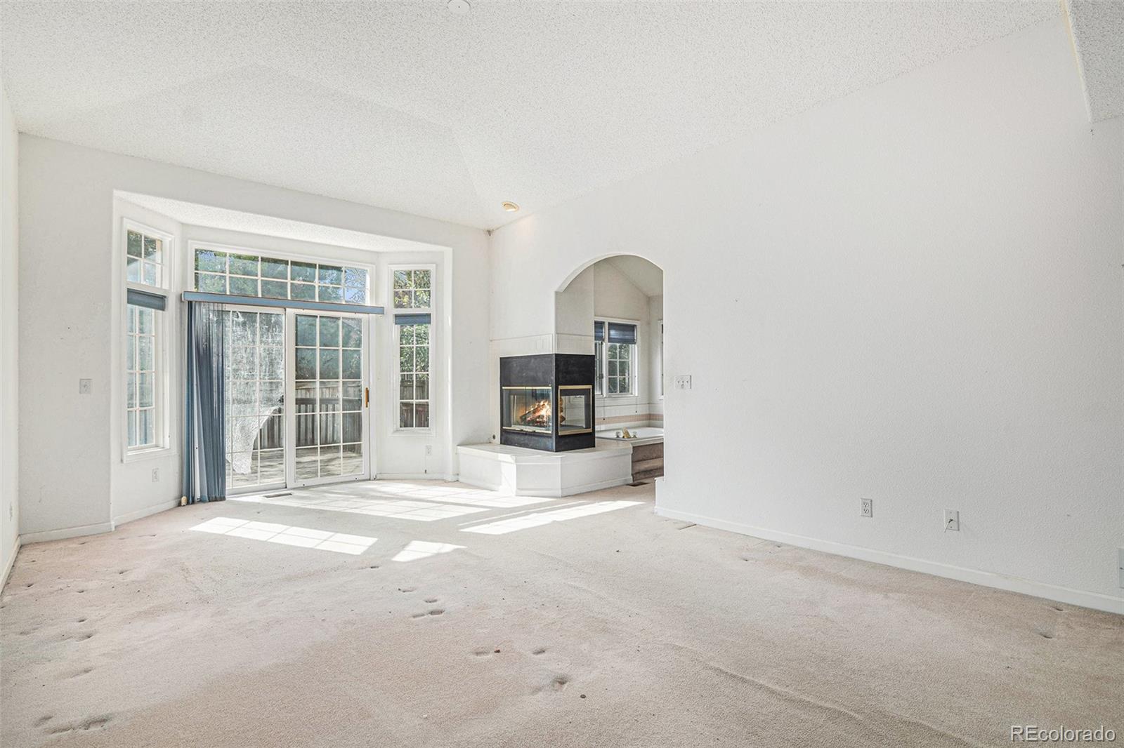MLS Image #11 for 5485 s jasper court,centennial, Colorado