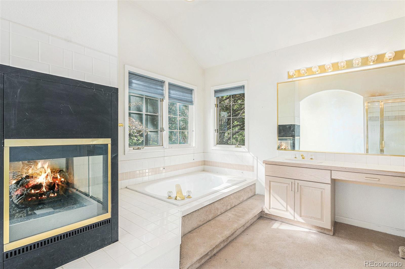 MLS Image #13 for 5485 s jasper court,centennial, Colorado