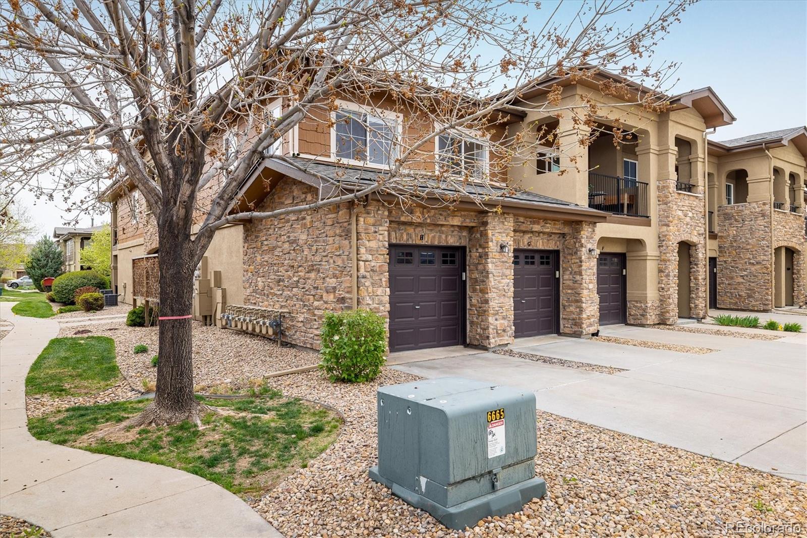 MLS Image #16 for 1122  olympia avenue,longmont, Colorado