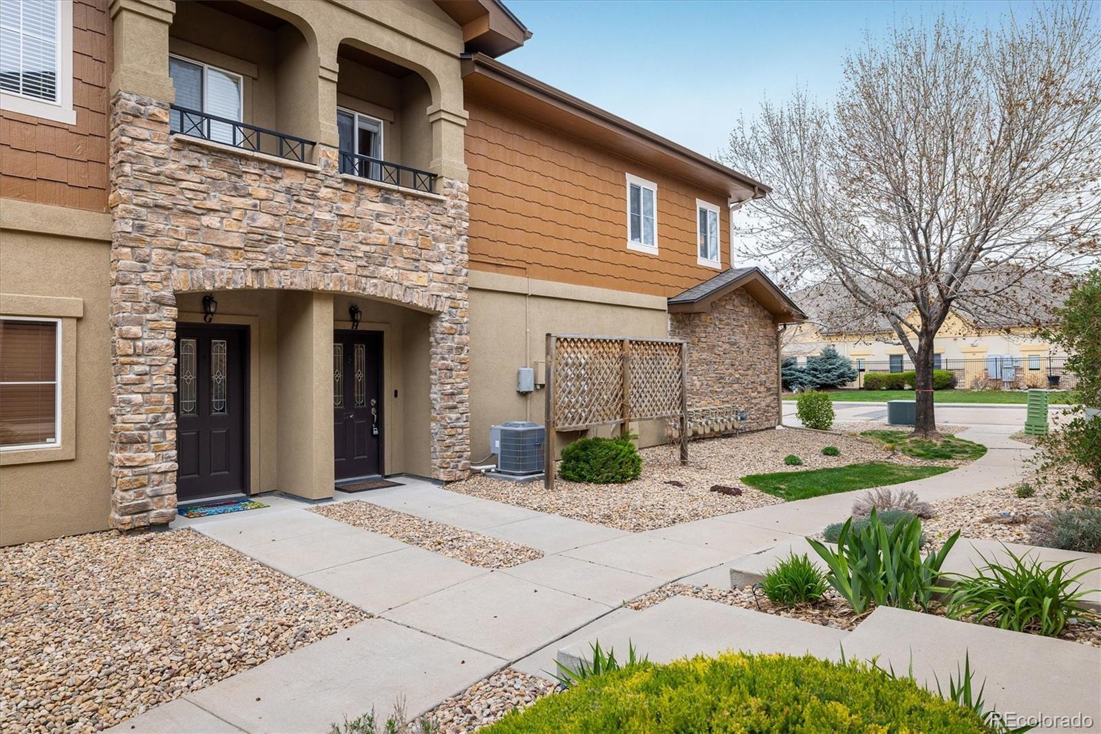 MLS Image #17 for 1122  olympia avenue,longmont, Colorado