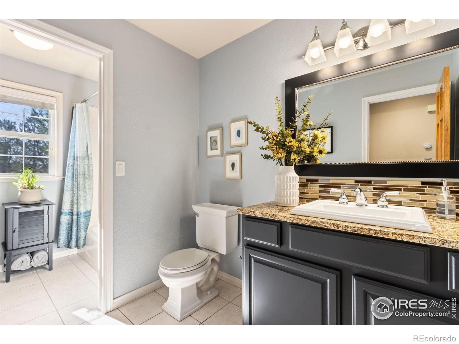 MLS Image #14 for 3338  wild view drive,fort collins, Colorado