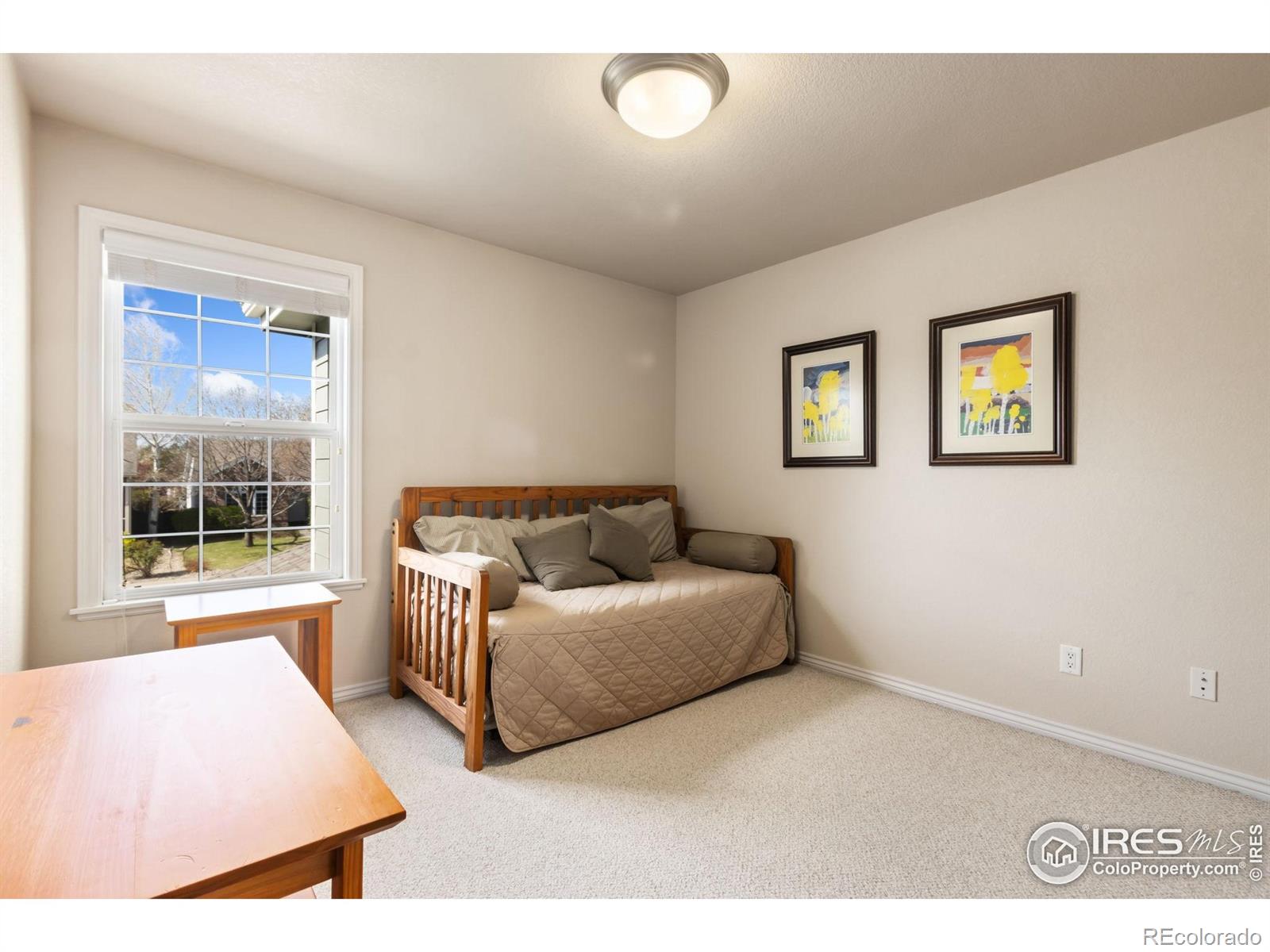 MLS Image #22 for 3338  wild view drive,fort collins, Colorado